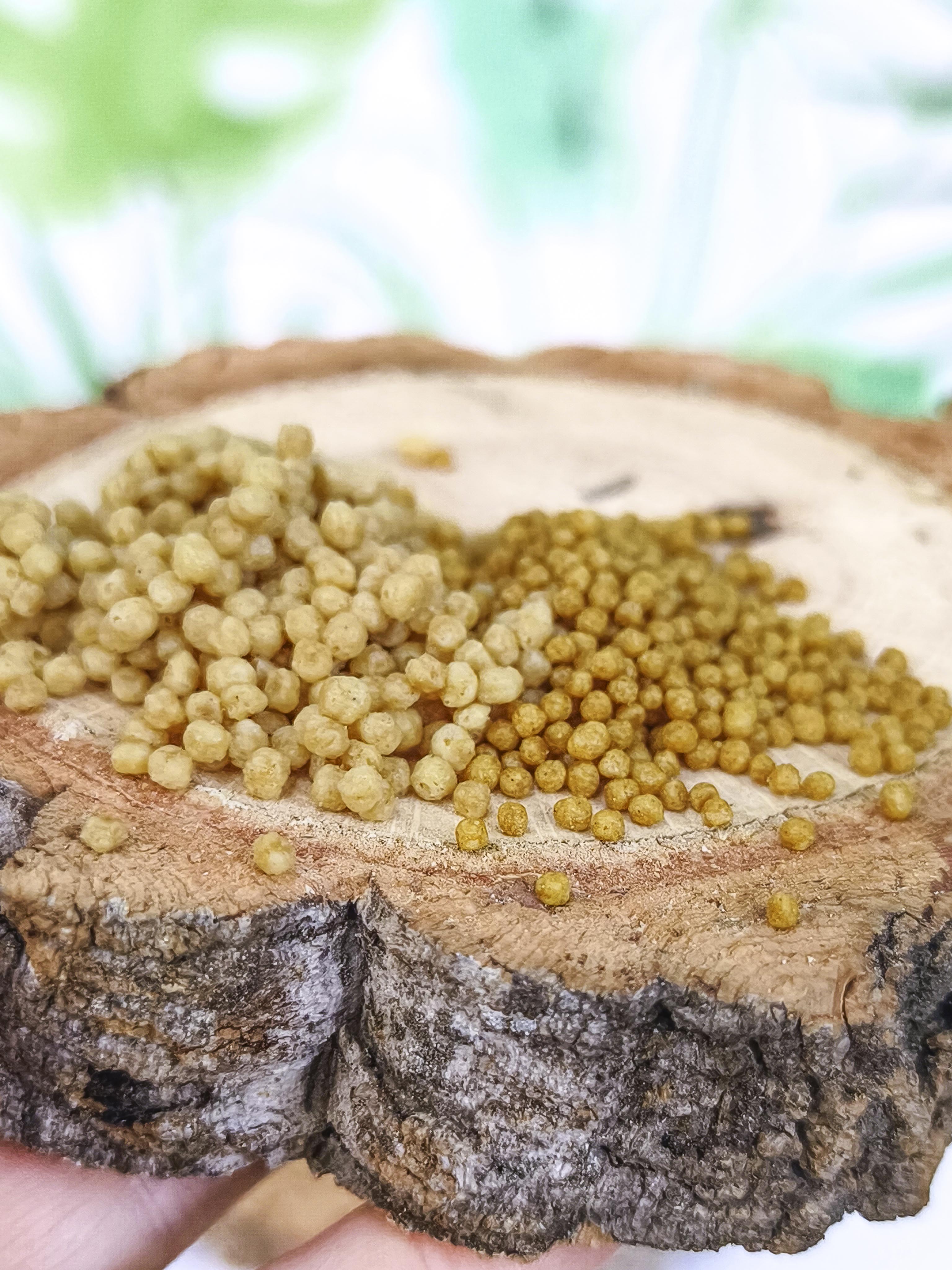 PIENSO Psittacus Microspheres