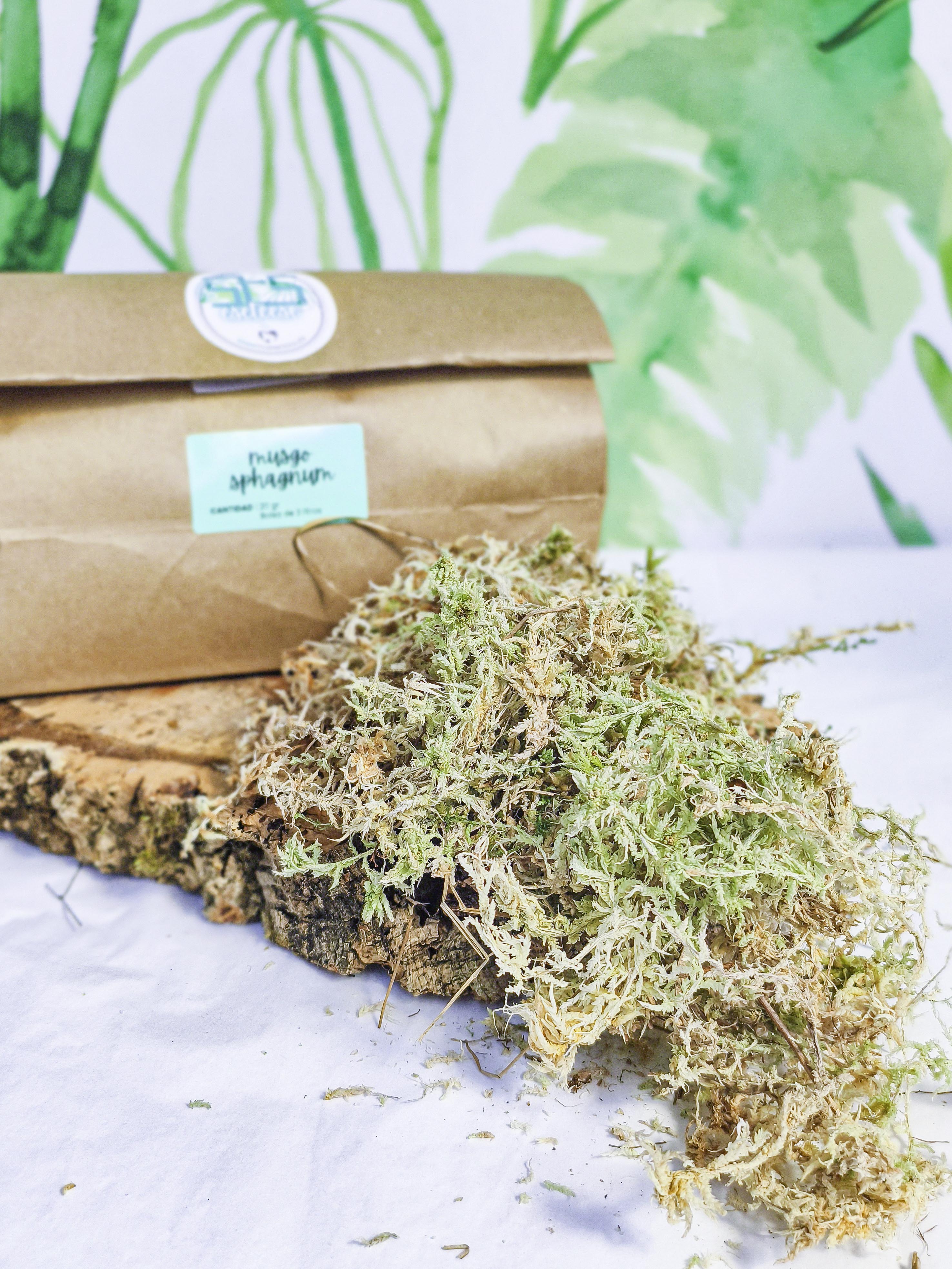 MUSGUÍN musgo spaghnum