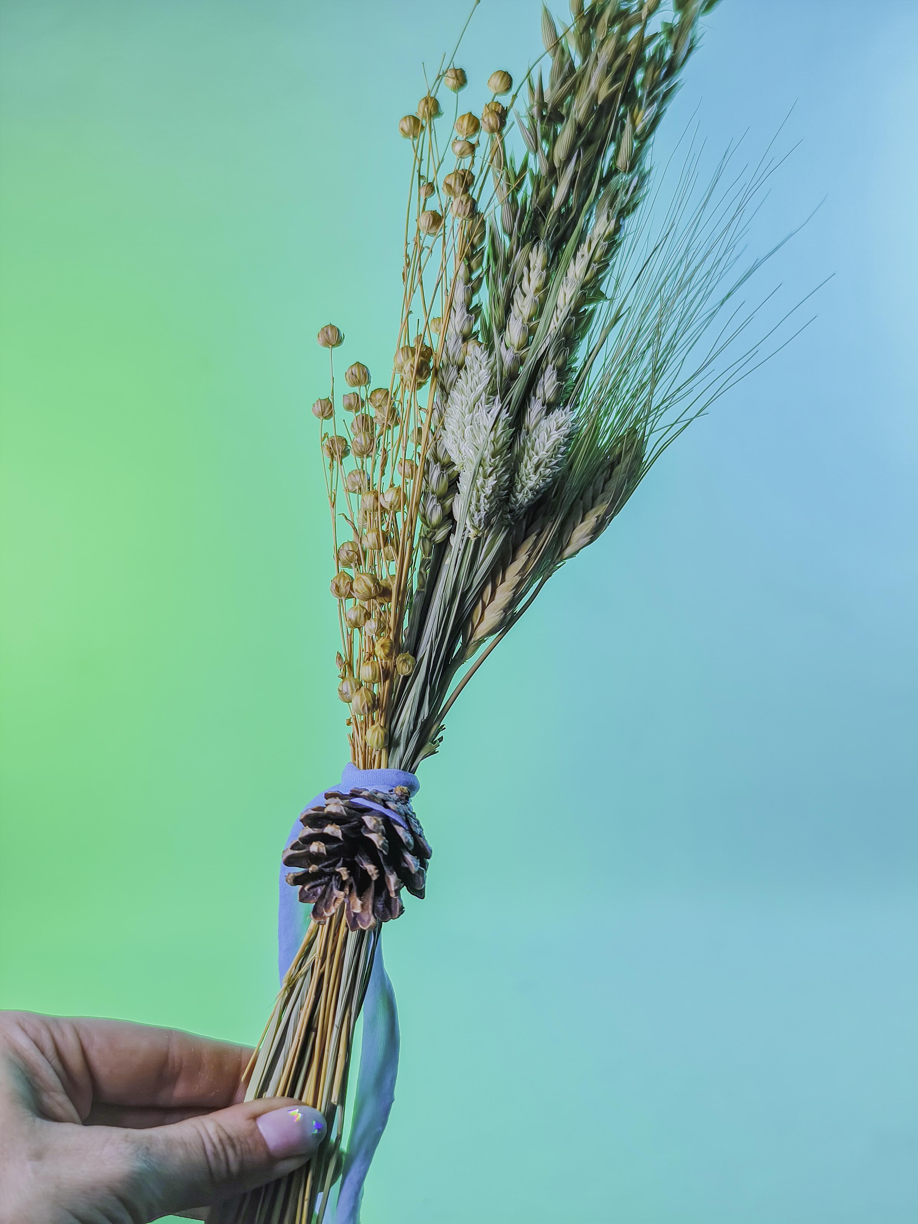 RAMILLETE semillas mix