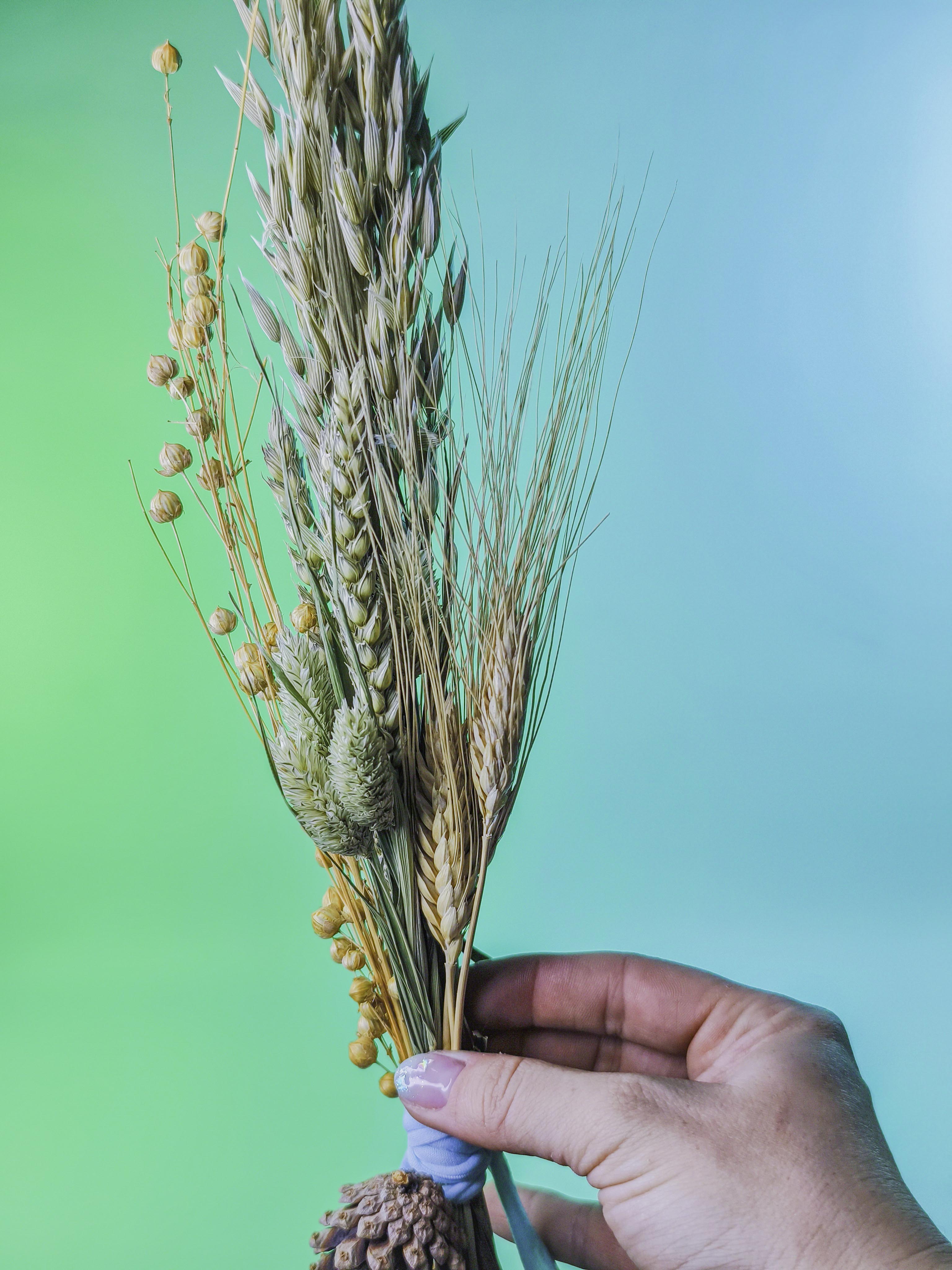 RAMILLETE semillas mix