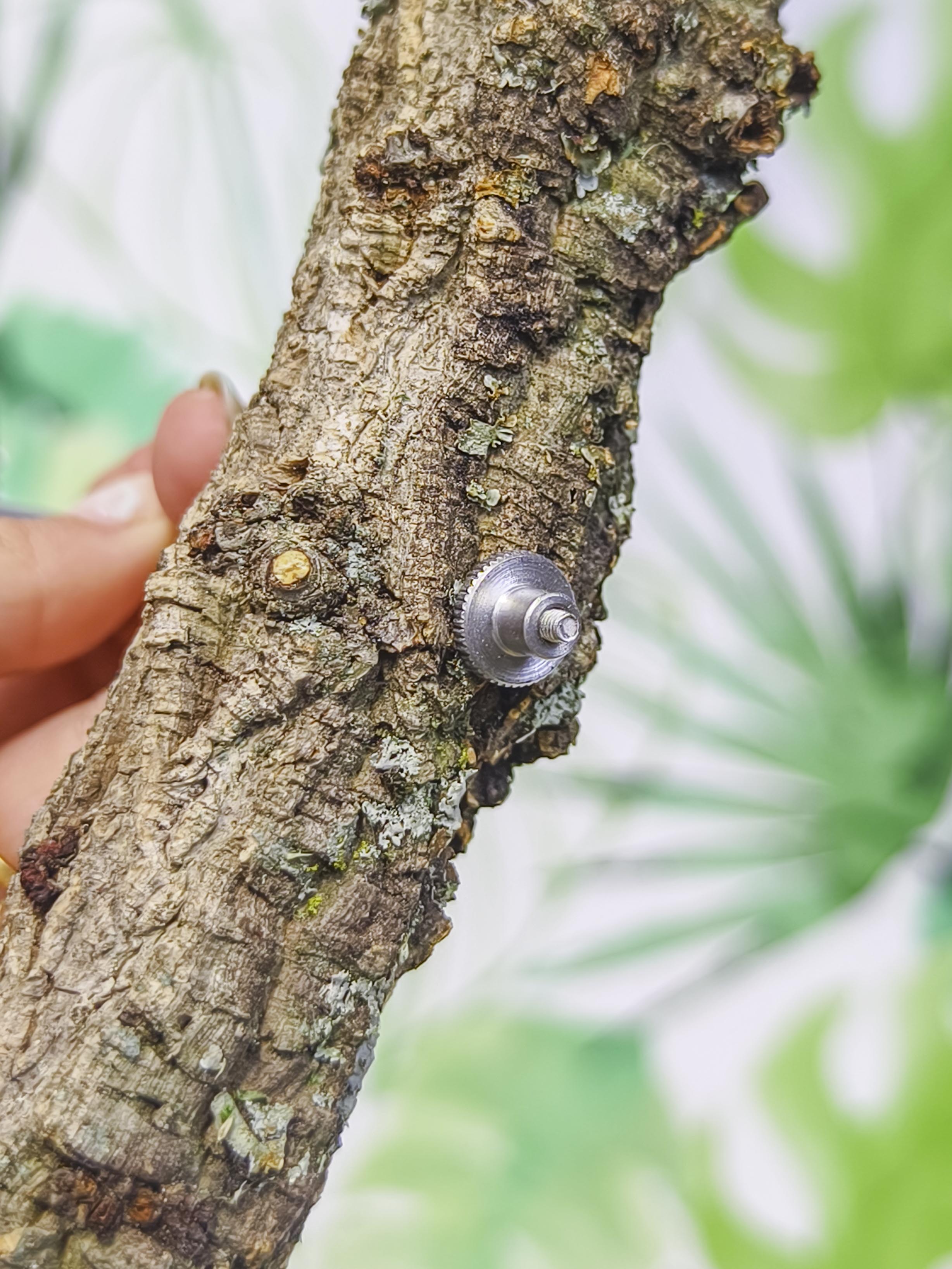 BROCHETA ENSALADA CON RAMA