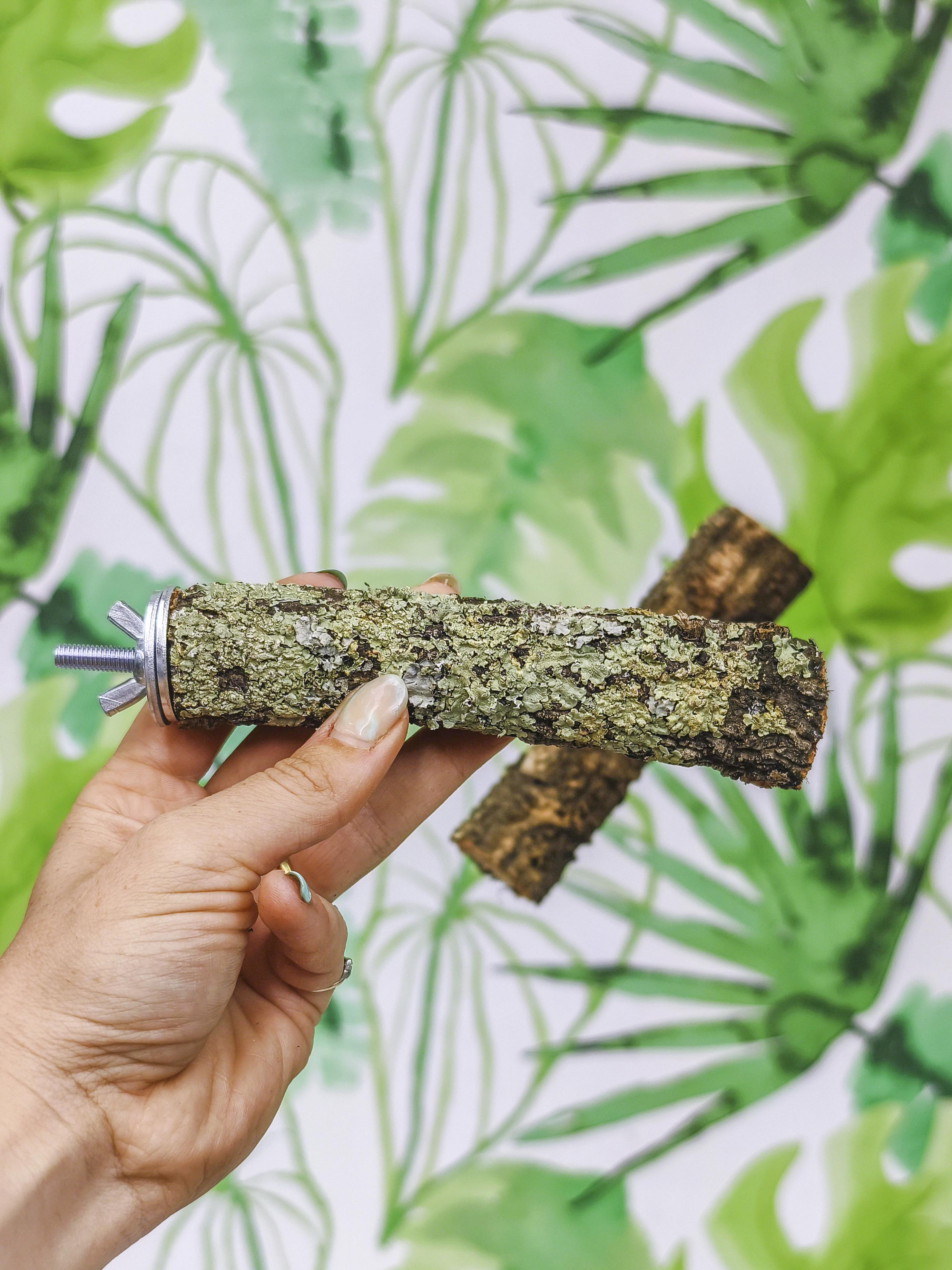 BROCHETA ENSALADA DOS NIVELES