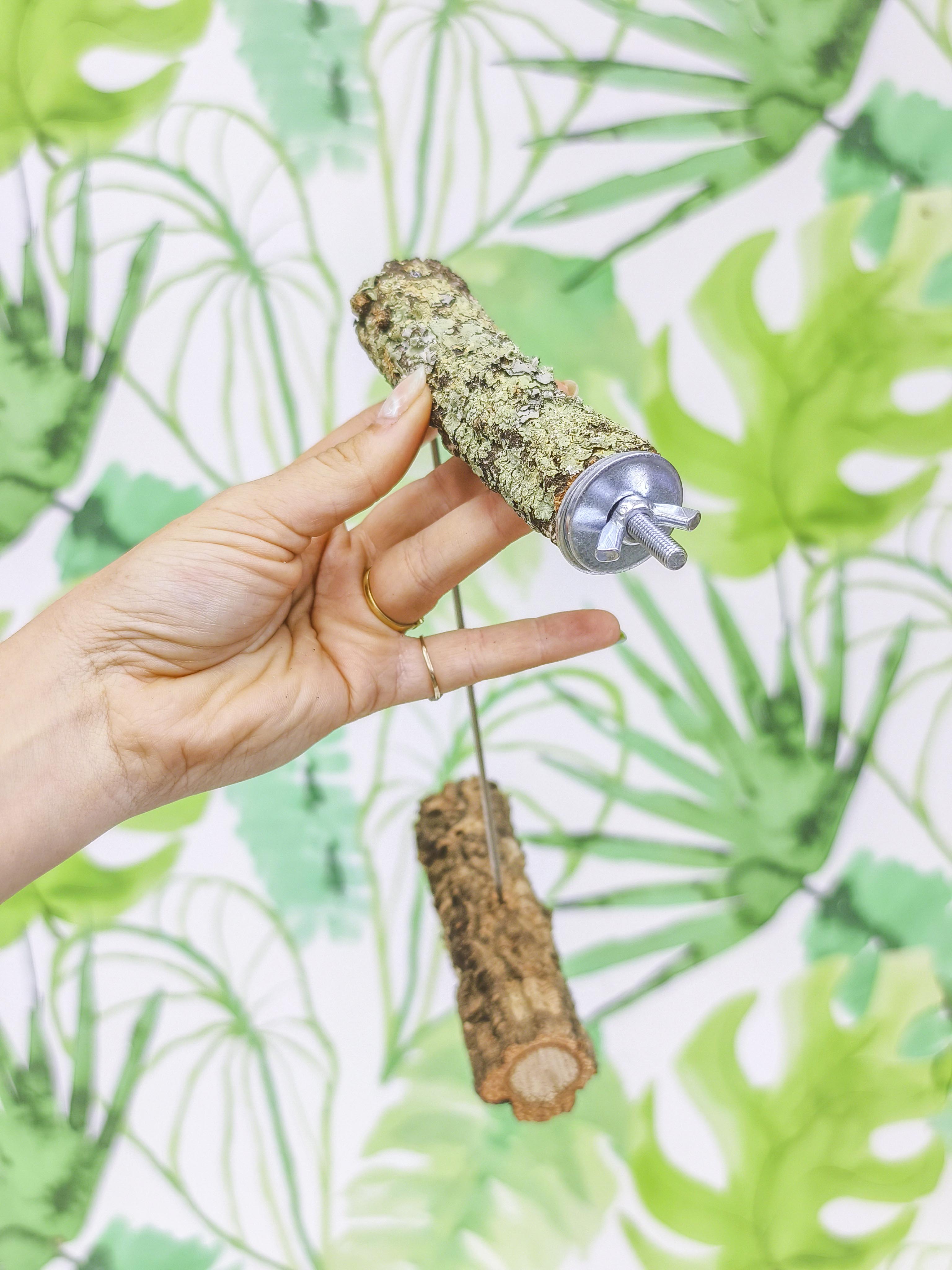 BROCHETA ENSALADA DOS NIVELES