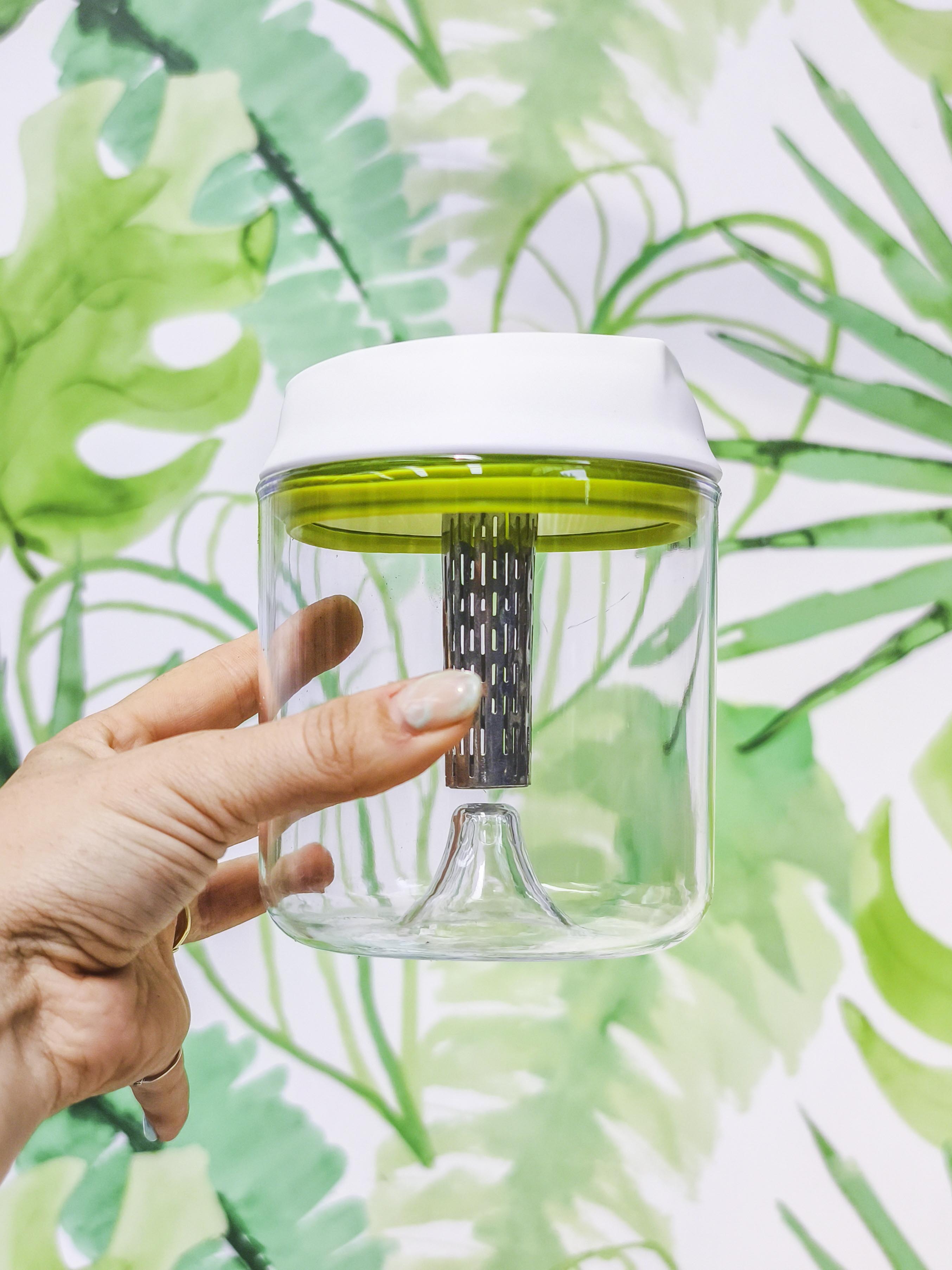 GERMINADOR DE SEMILLAS Y LEGUMBRES