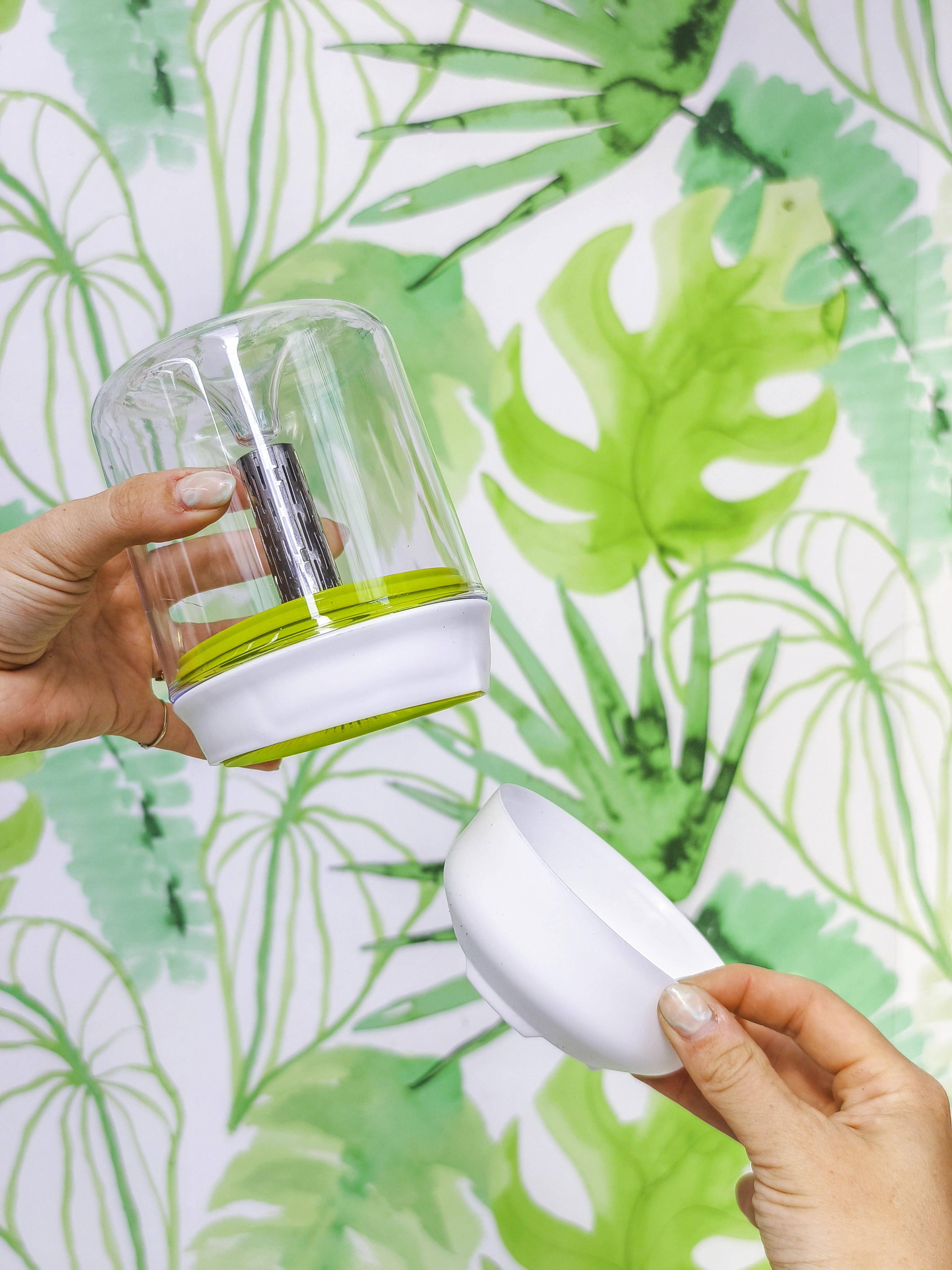 GERMINADOR DE SEMILLAS Y LEGUMBRES