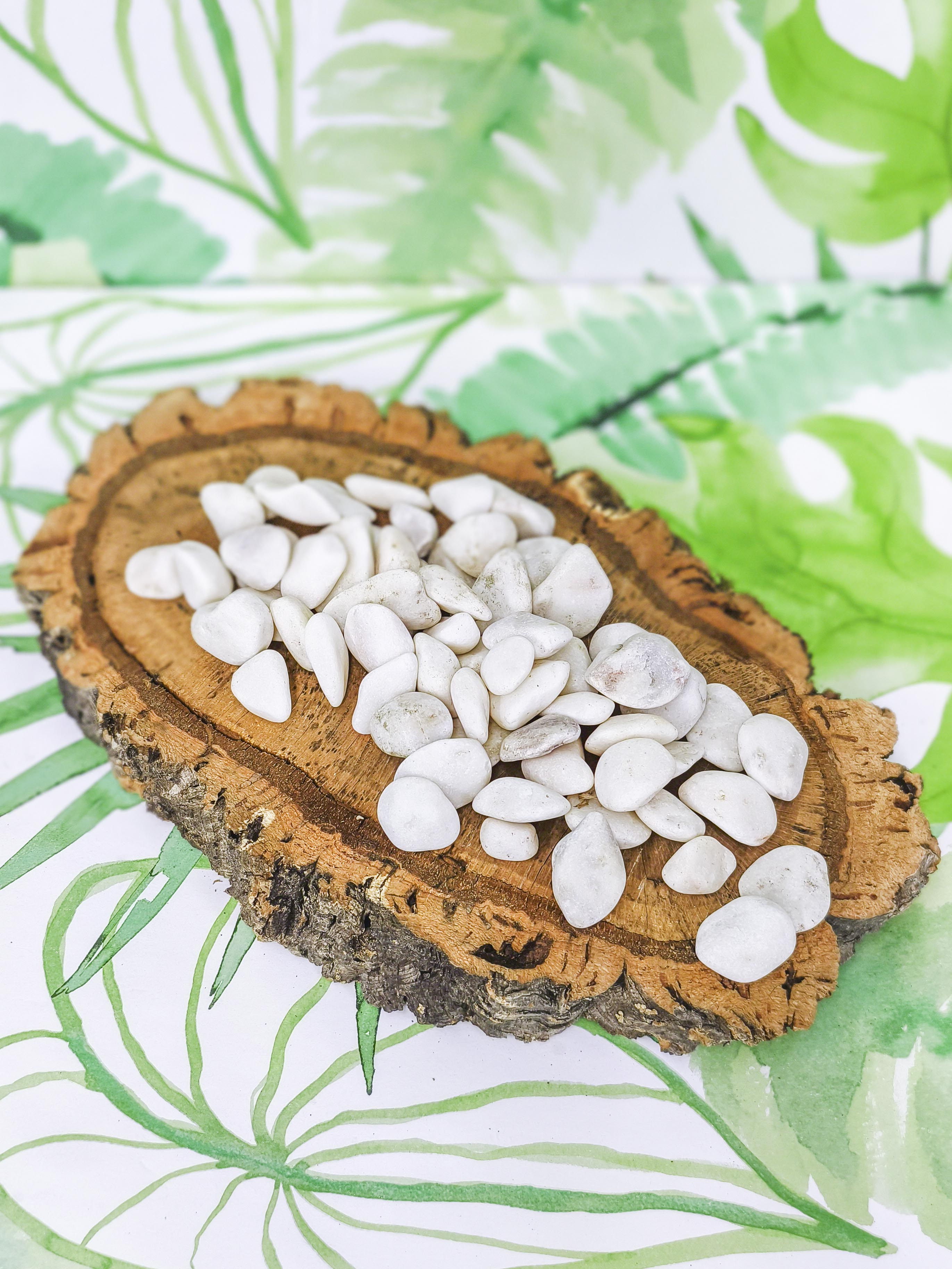 Bolo blanco pequeño