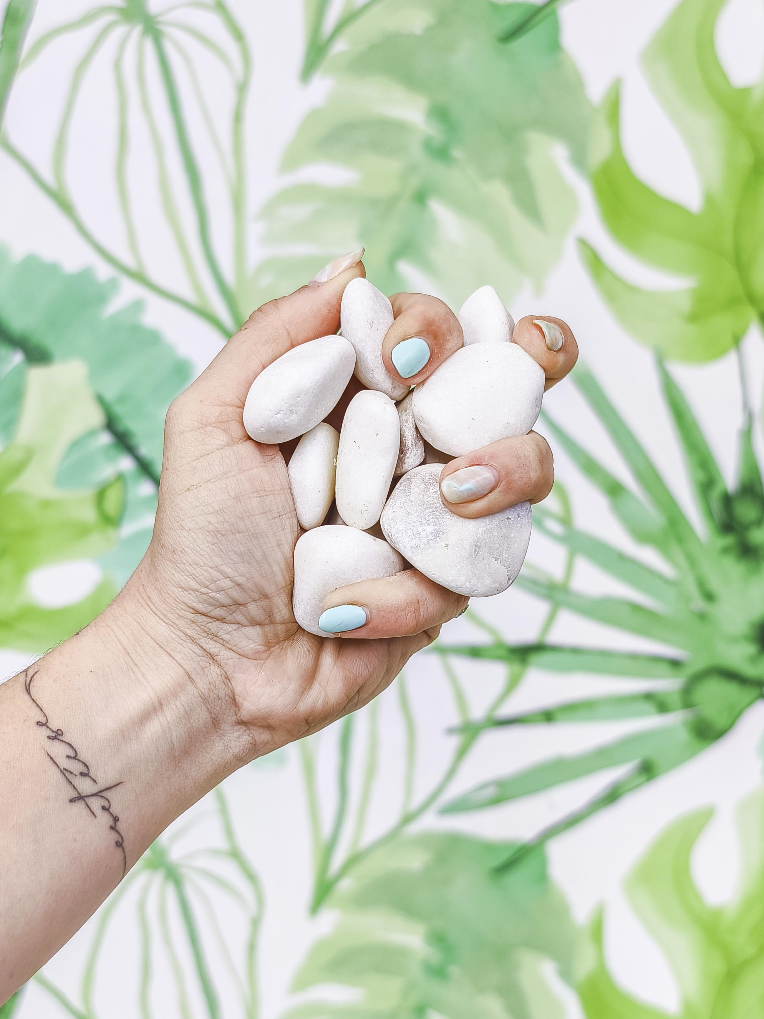 Bolo blanco pequeño