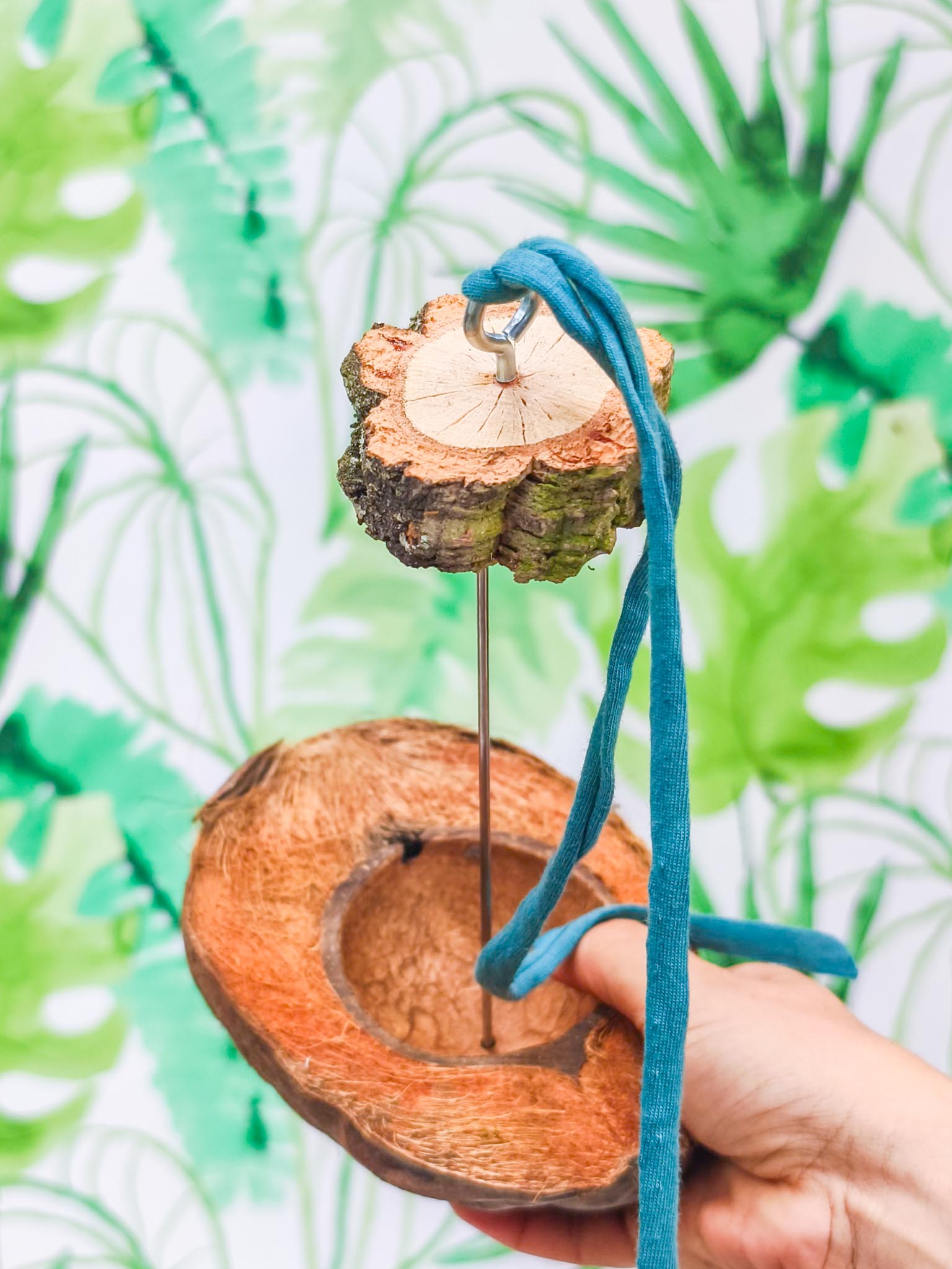 BROCHETA ENSALADA CON COCO