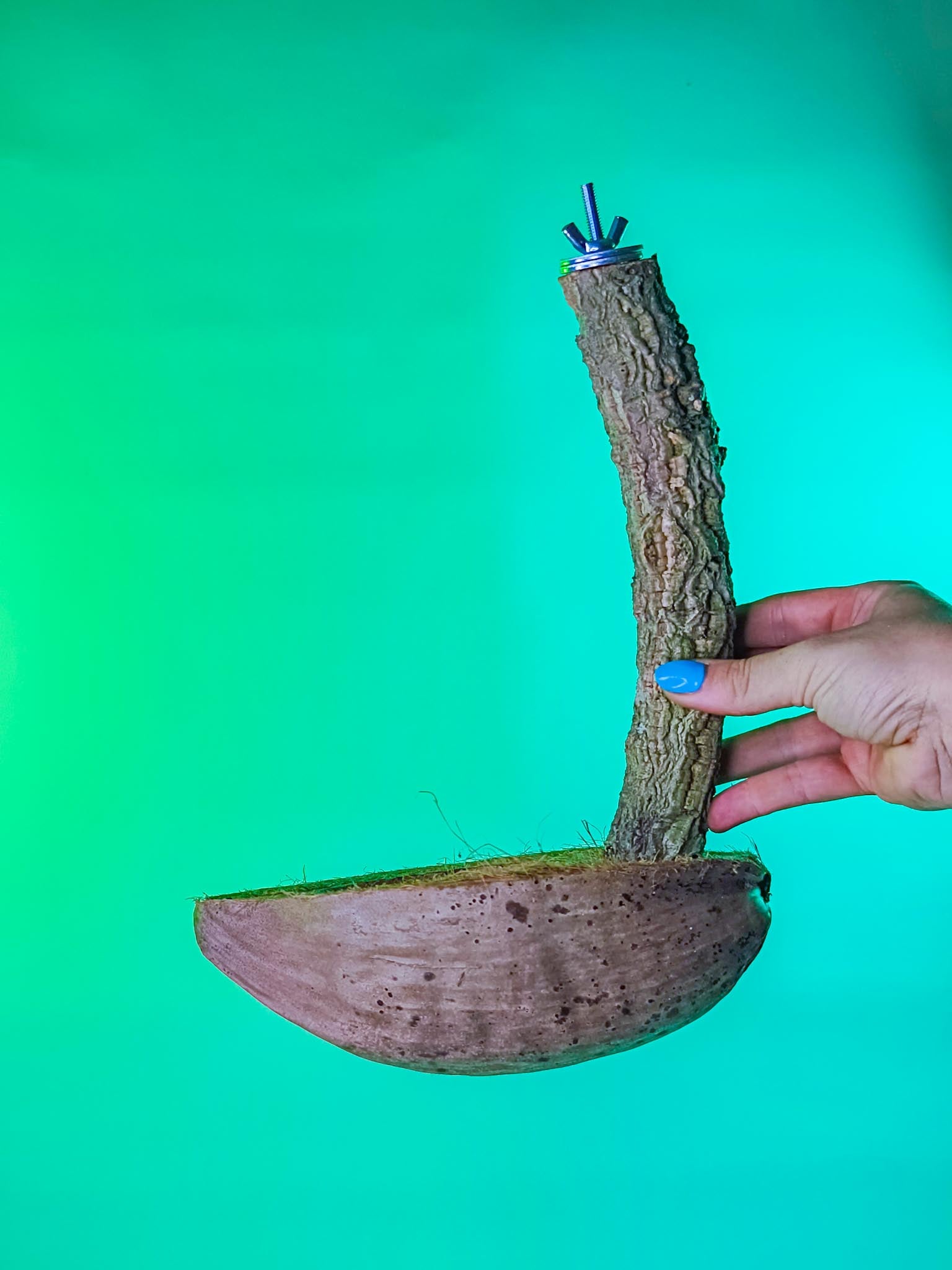 COMEDERO COCO SUSPENDIDO