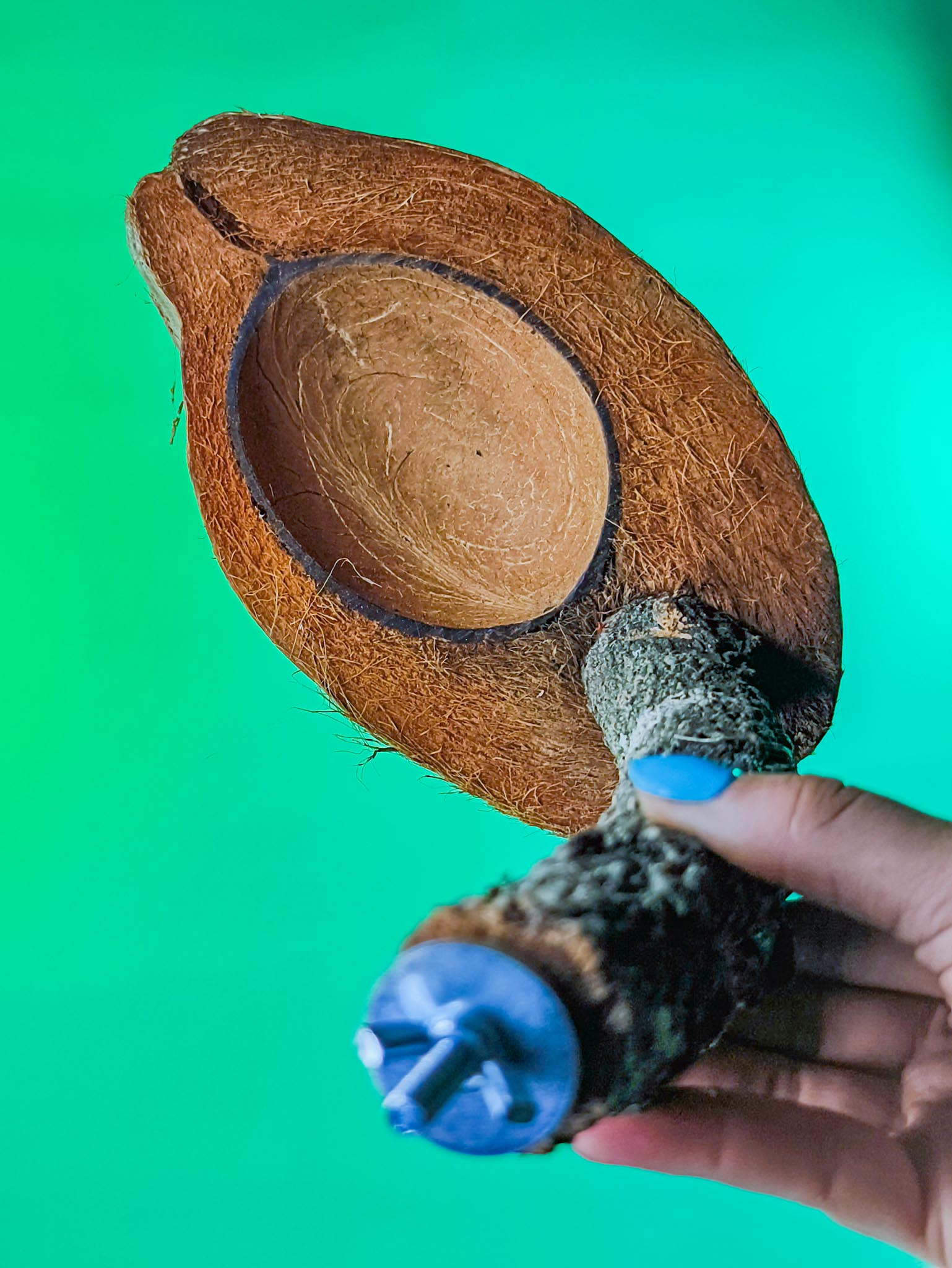 COMEDERO COCO SUSPENDIDO