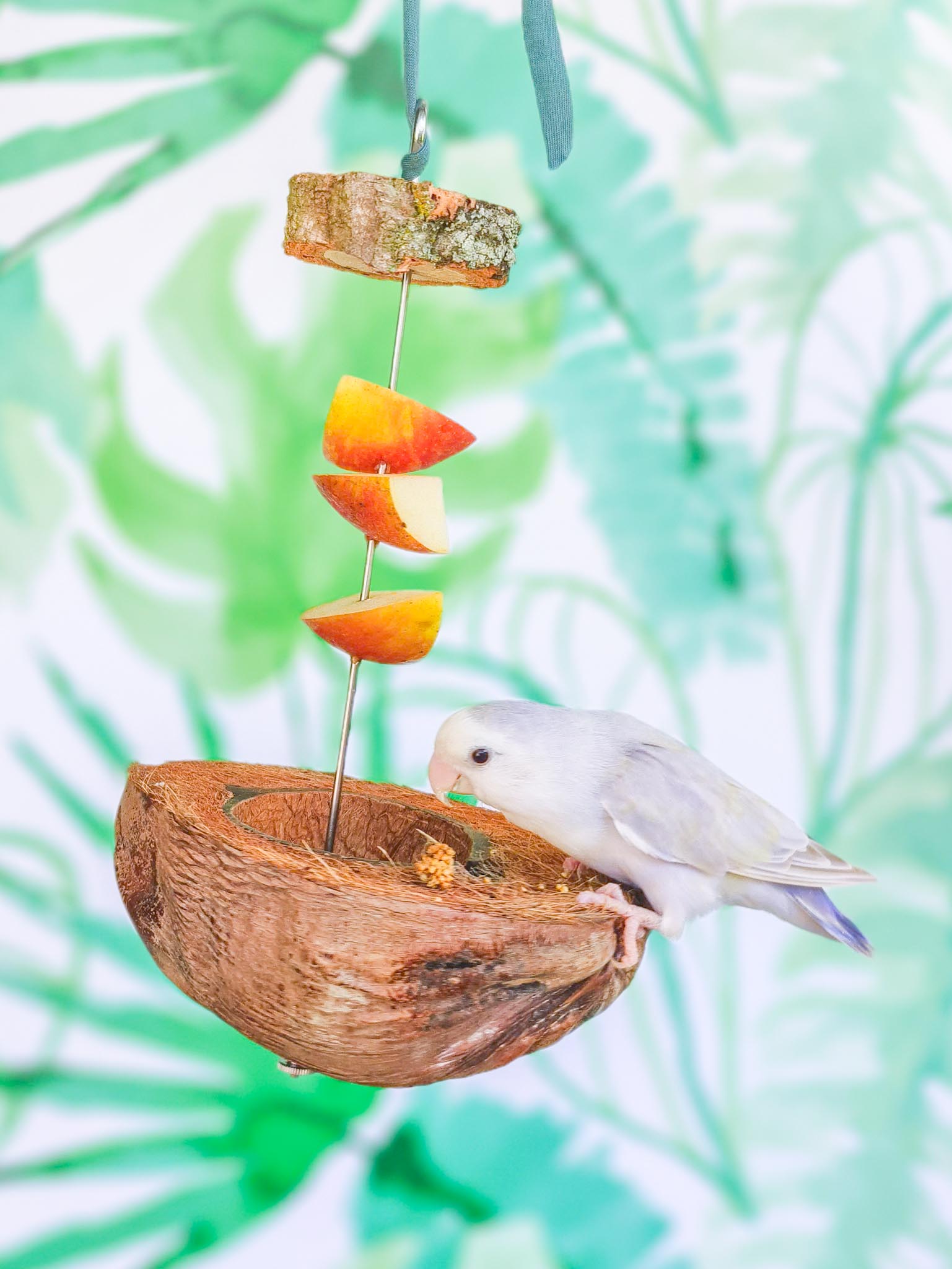 BROCHETA ENSALADA CON COCO