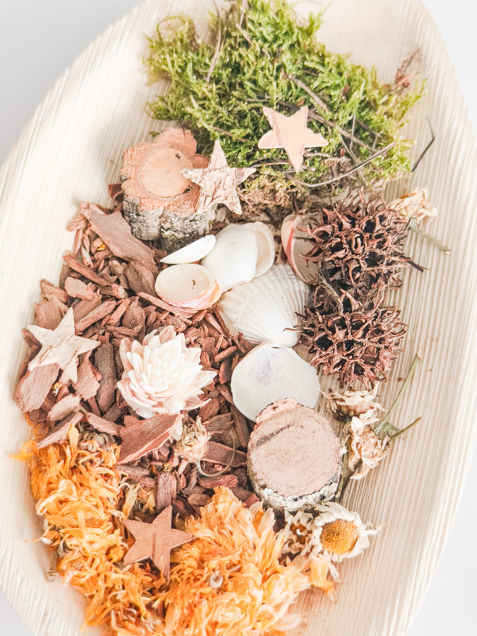 Bolsa forrajeo sorpresa