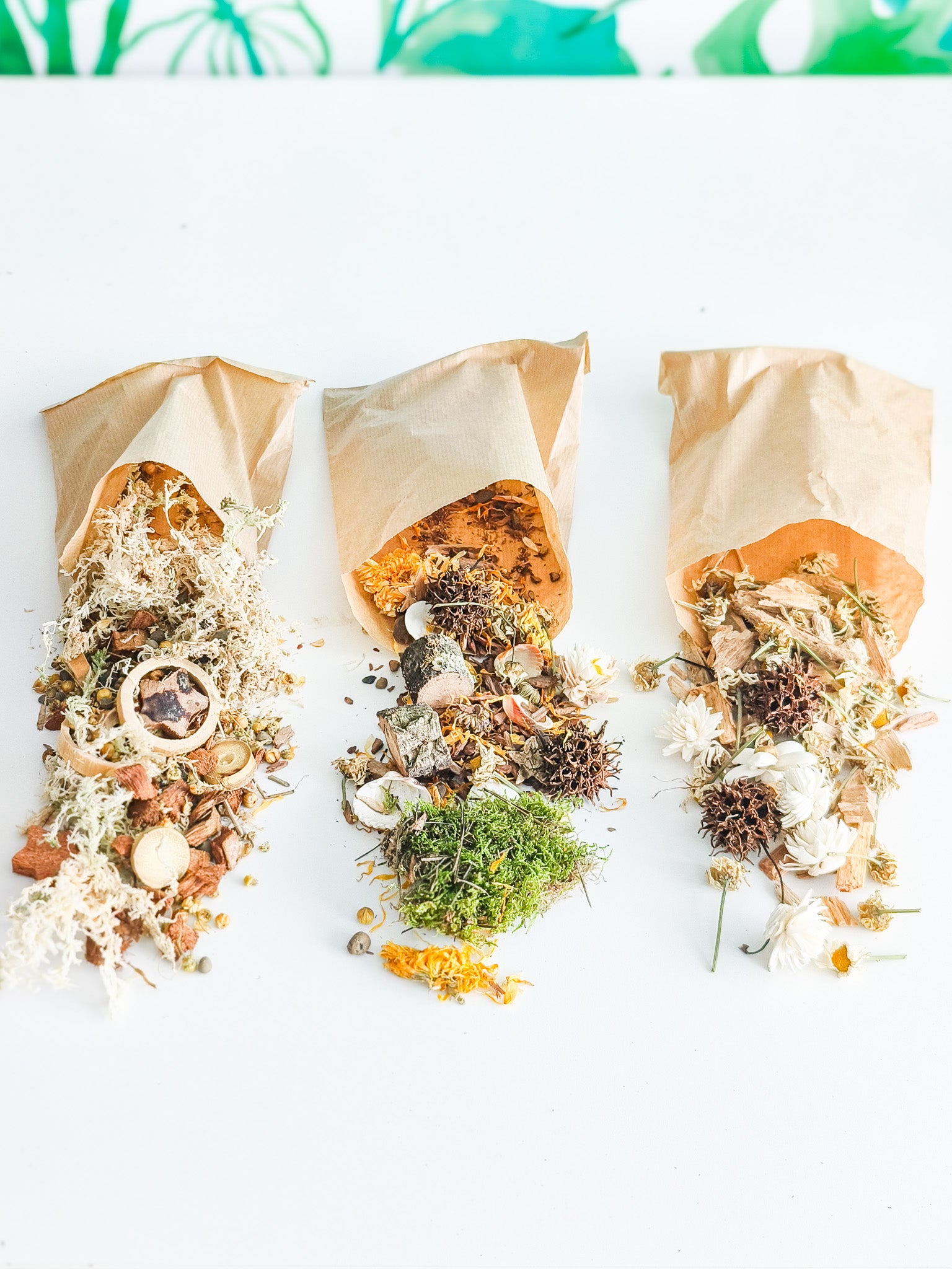 Bolsa forrajeo sorpresa