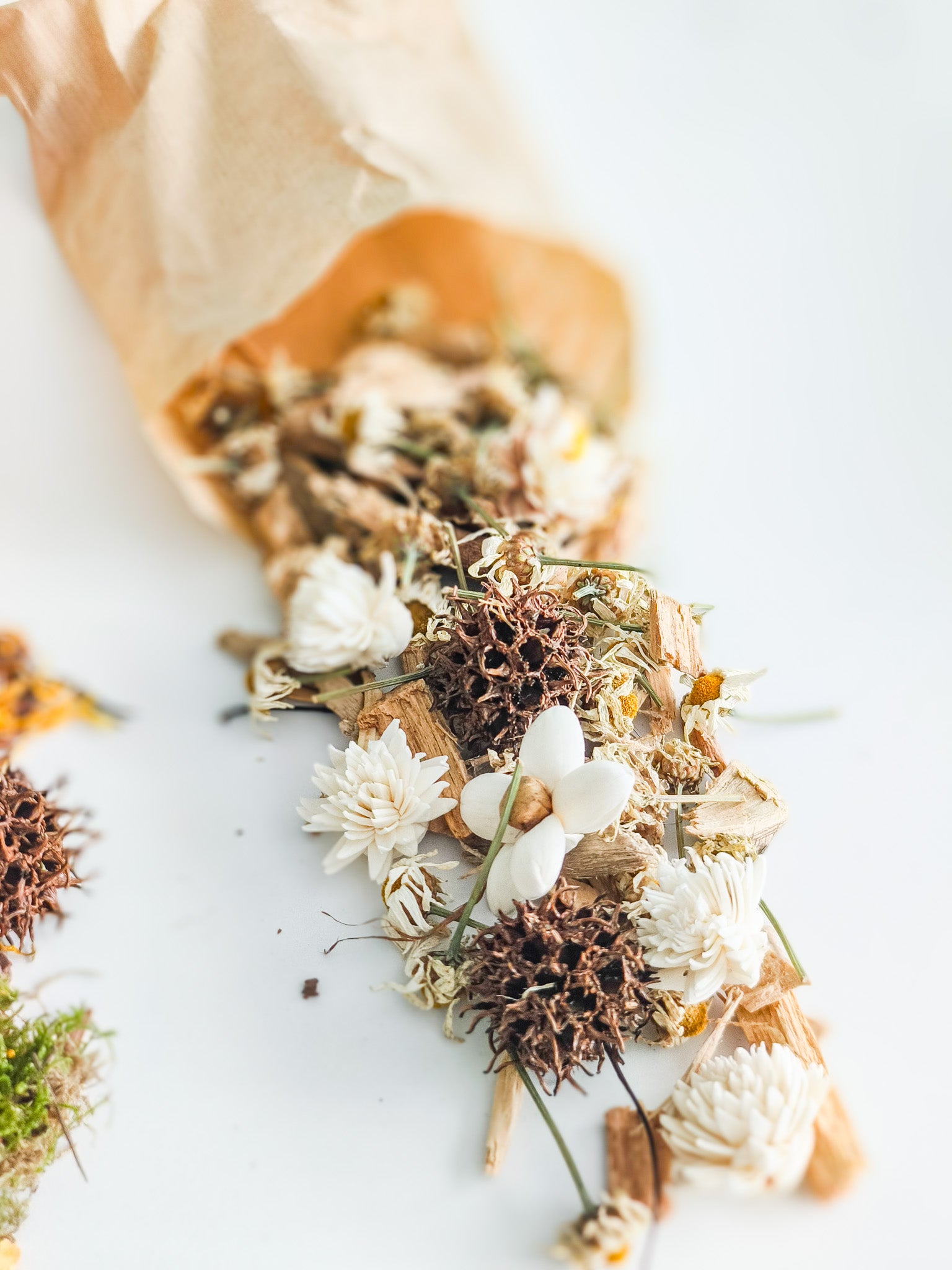 Bolsa forrajeo sorpresa