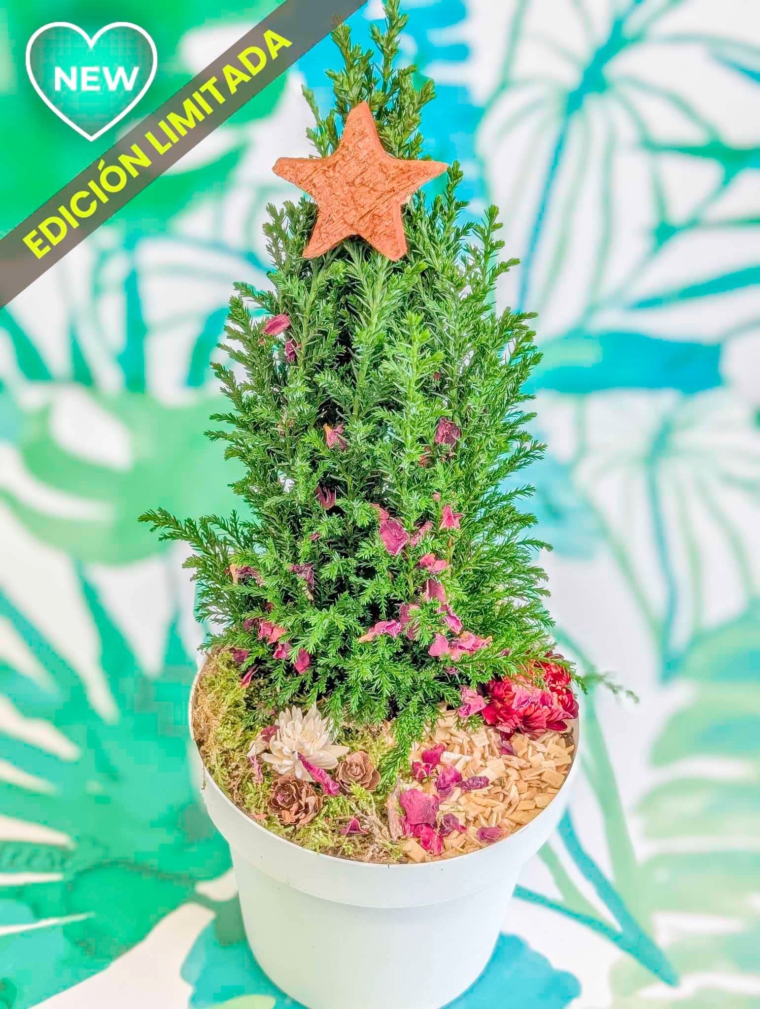 ARBOLITO NAVIDEÑO 2025 (vivo)