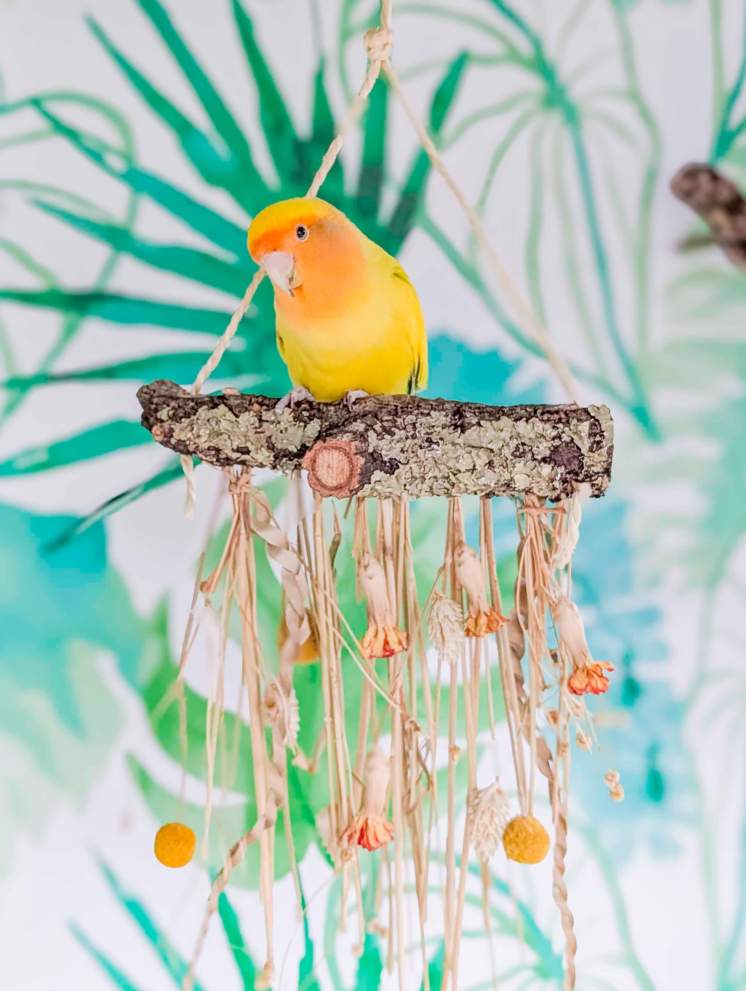 Cascada silvestre mini