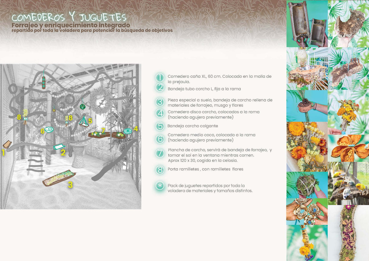 DISEÑO DE ESPACIOS | Voladera interior