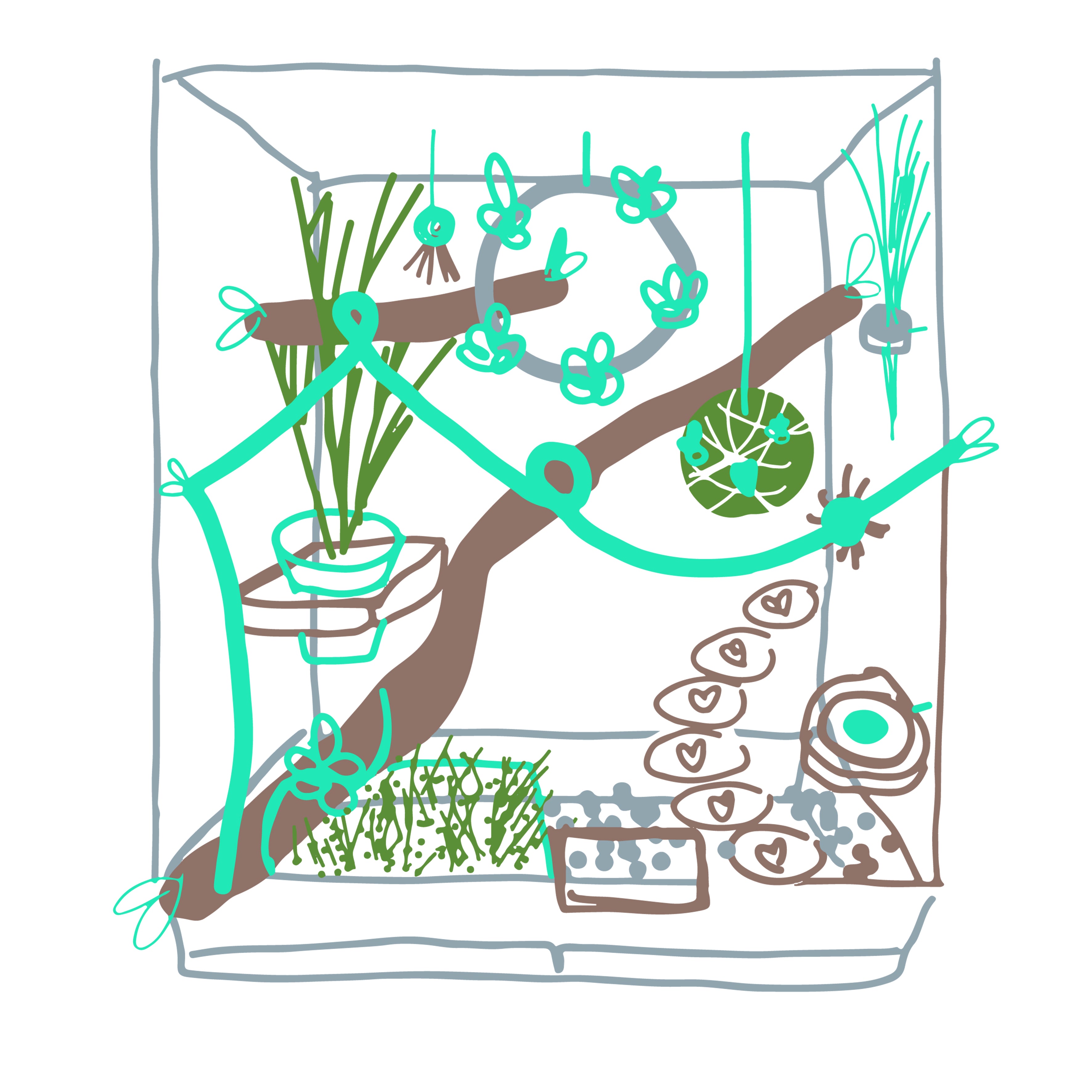 DISEÑO DE ESPACIOS | Jaula