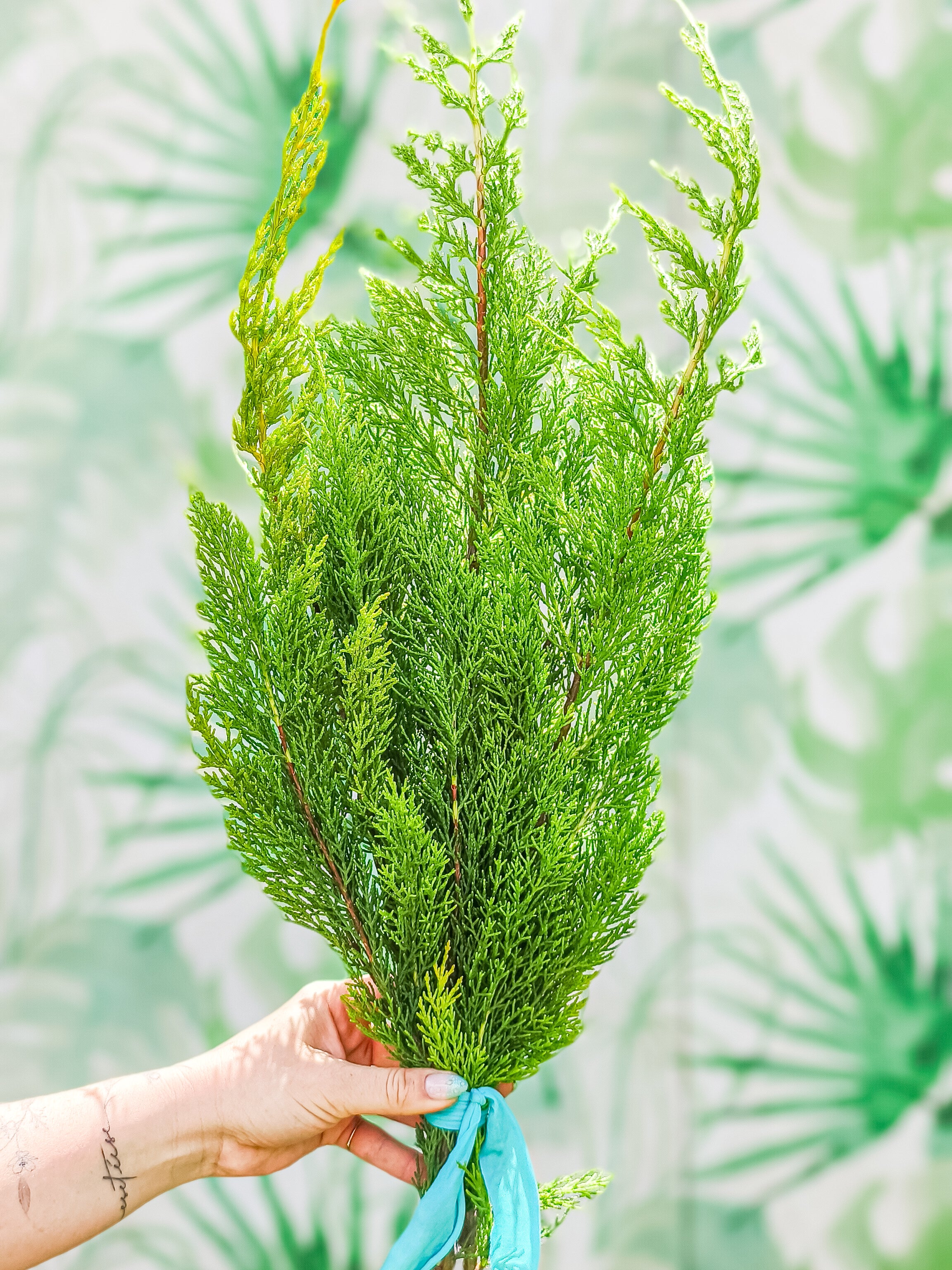 RAMILLETE HOJAS FRESCAS (ciprés limón)