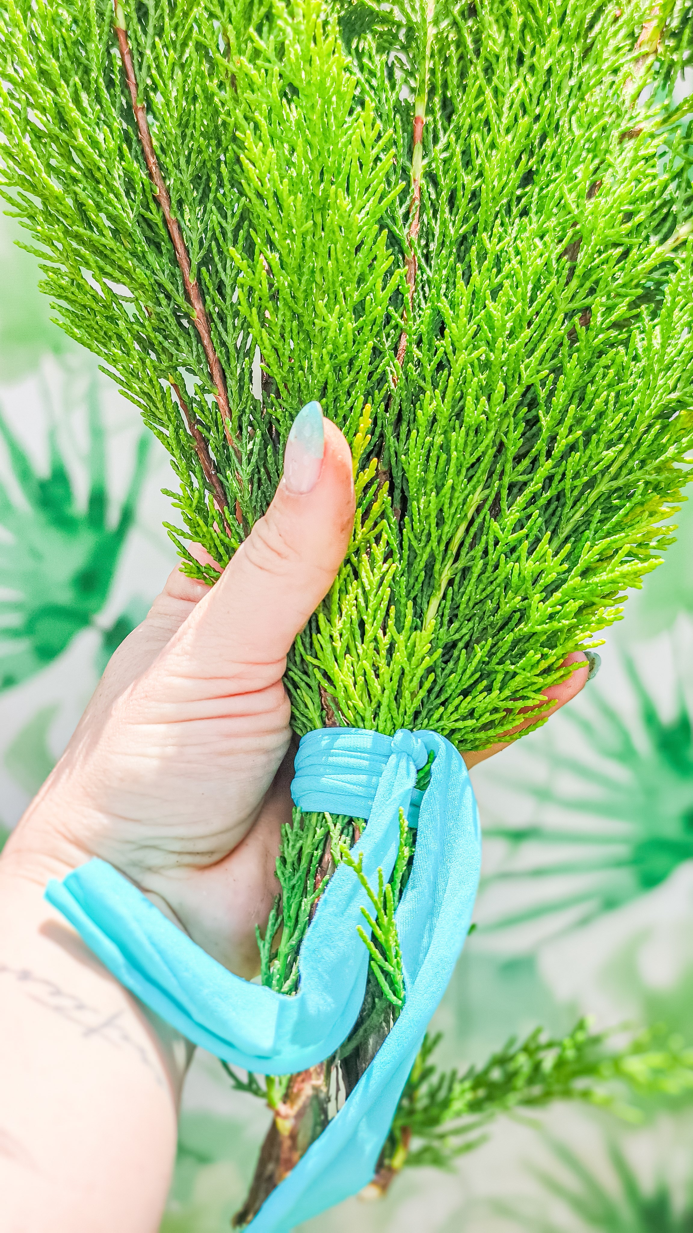 RAMILLETE HOJAS FRESCAS (ciprés limón)