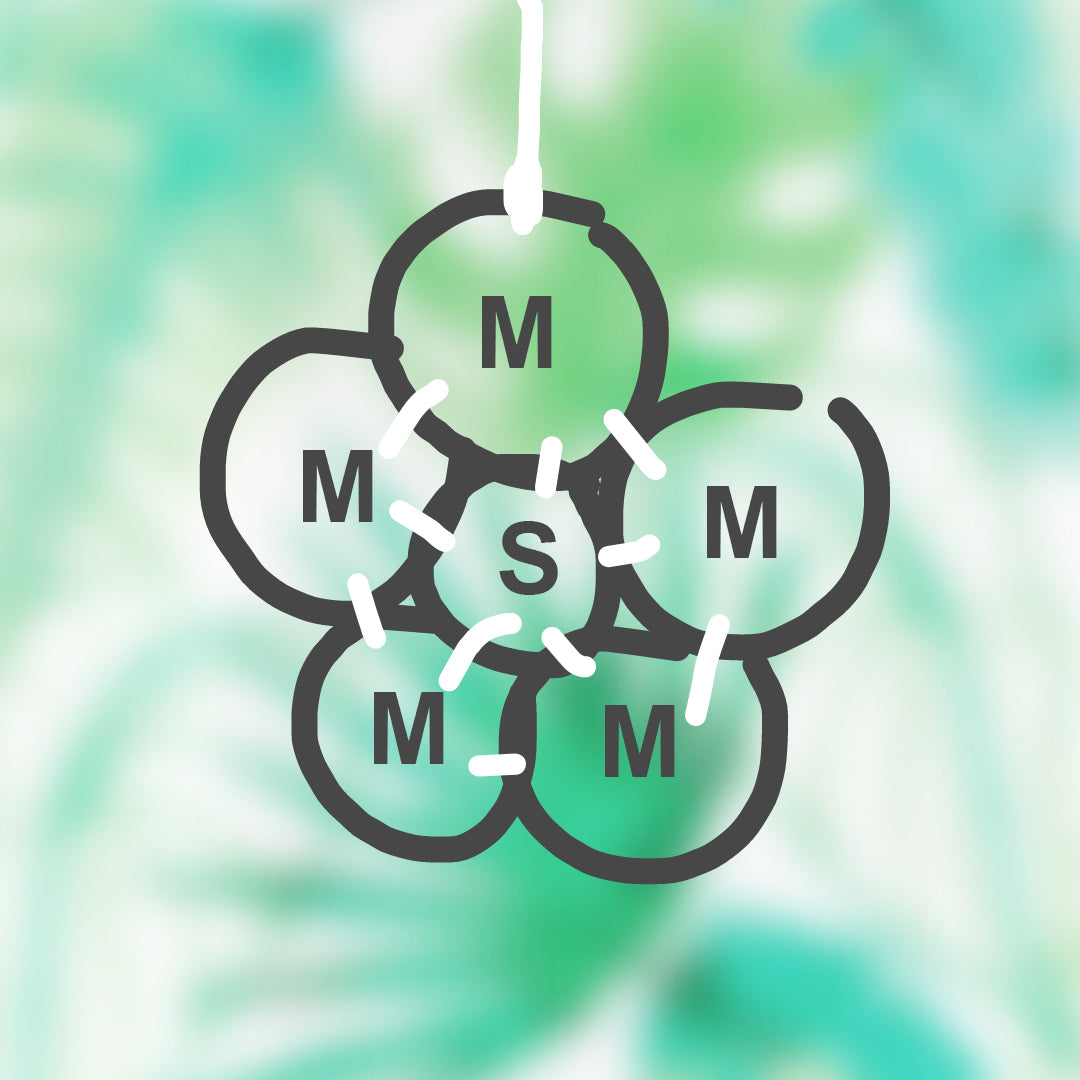 AROS DE CORCHO, COMPOSICIONES