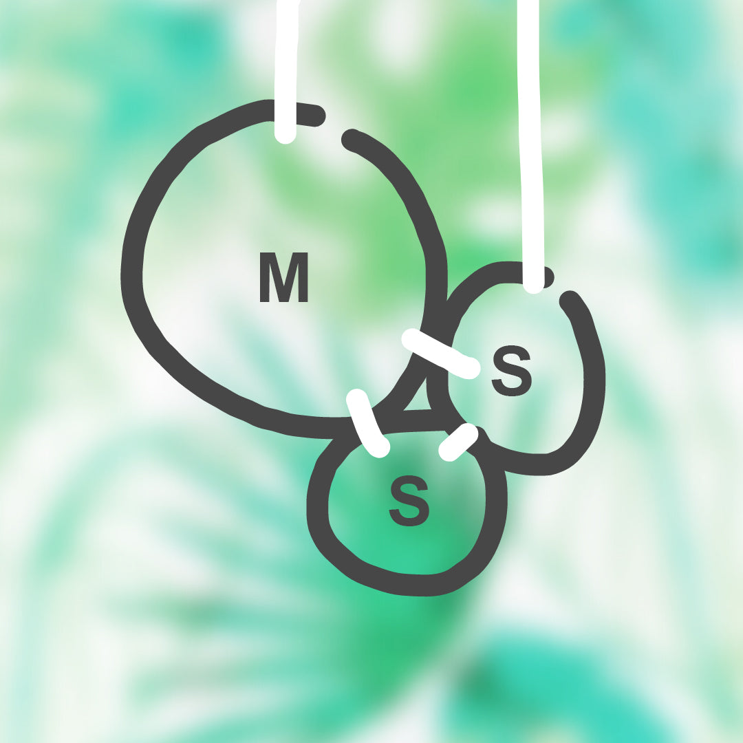 AROS DE CORCHO, COMPOSICIONES