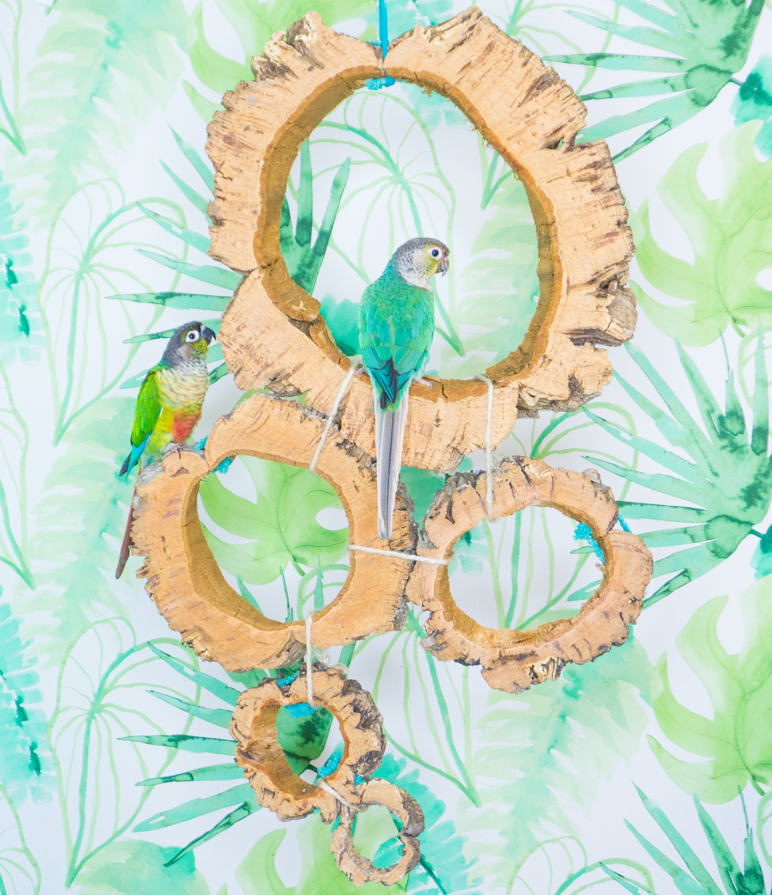 AROS DE CORCHO, COMPOSICIONES