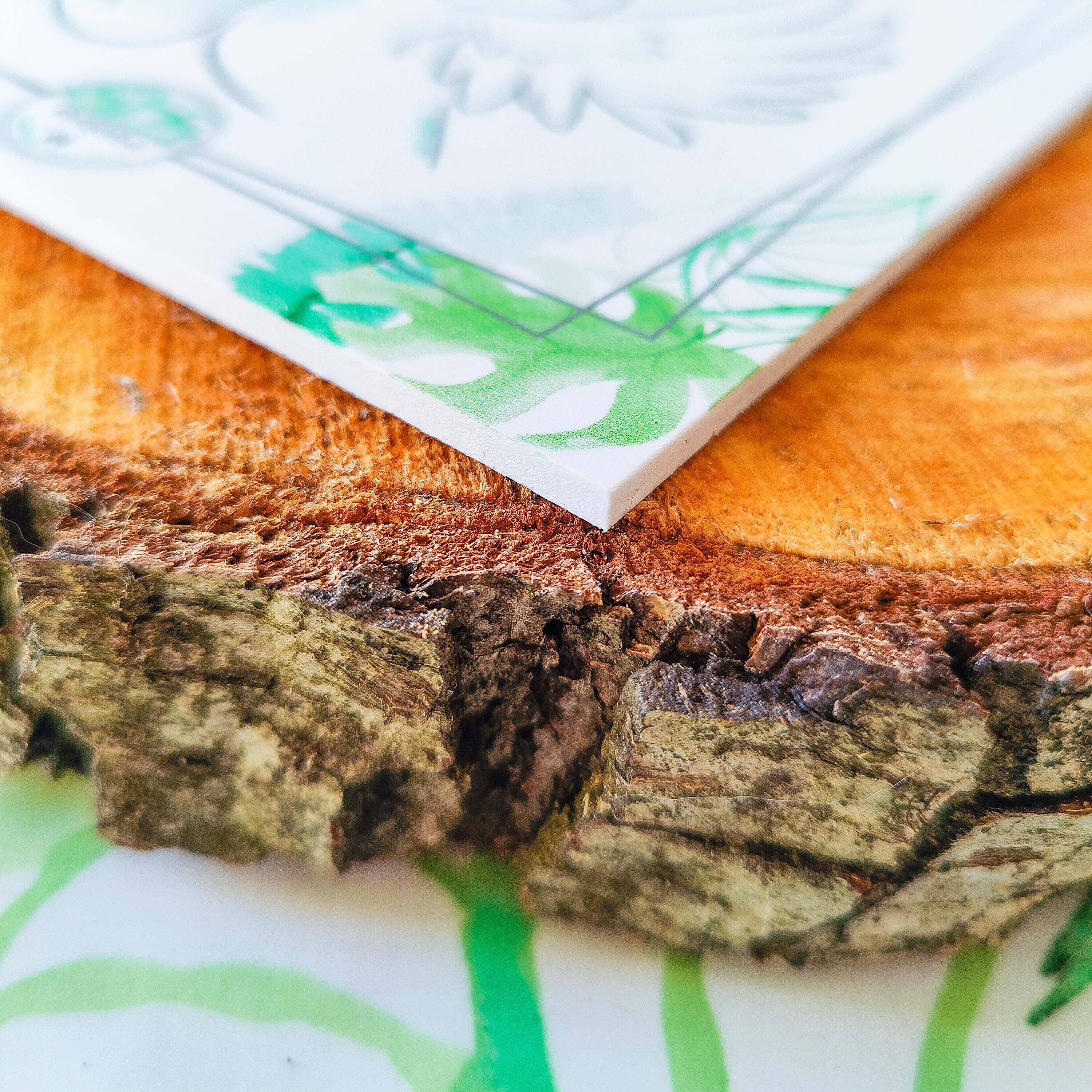 CARTEL "AL LORO CON EL LORO"