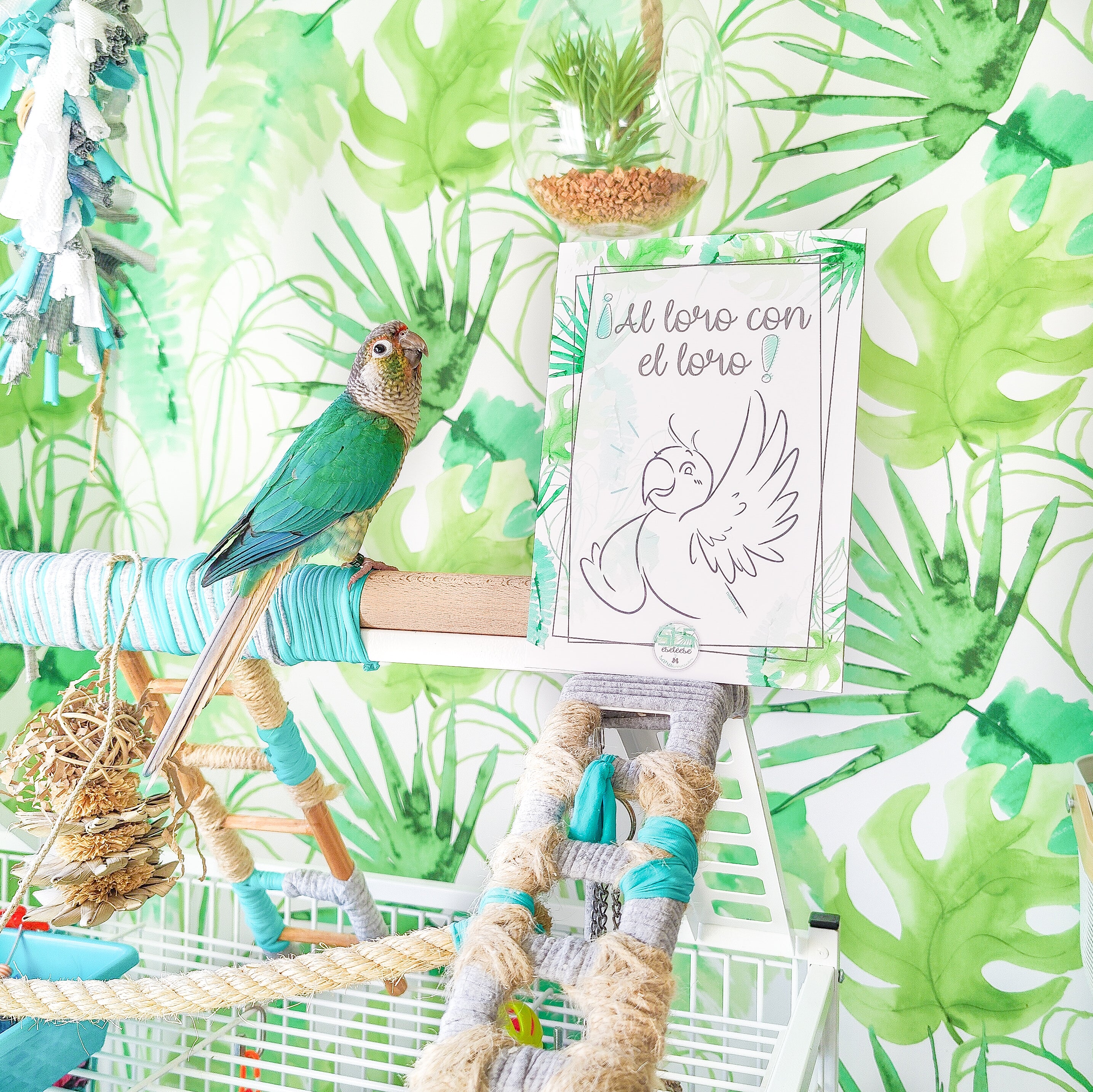 CARTEL "AL LORO CON EL LORO"