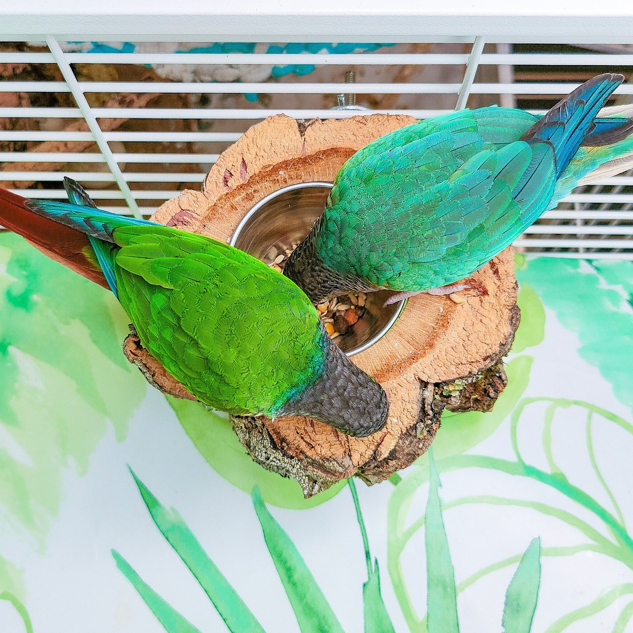 COMEDERO DISCO CORCHO