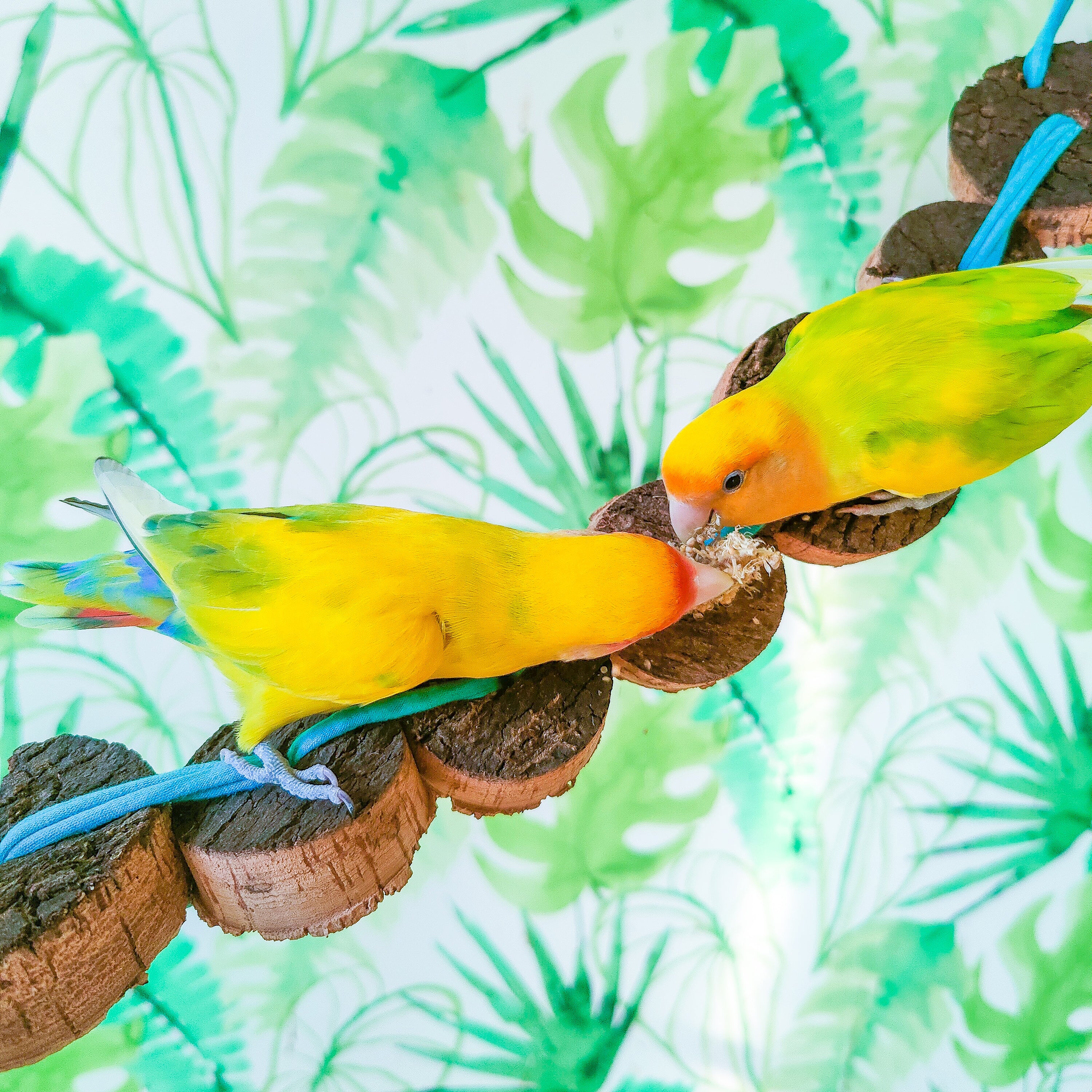 PUENTE DISCOS DE CORCHO