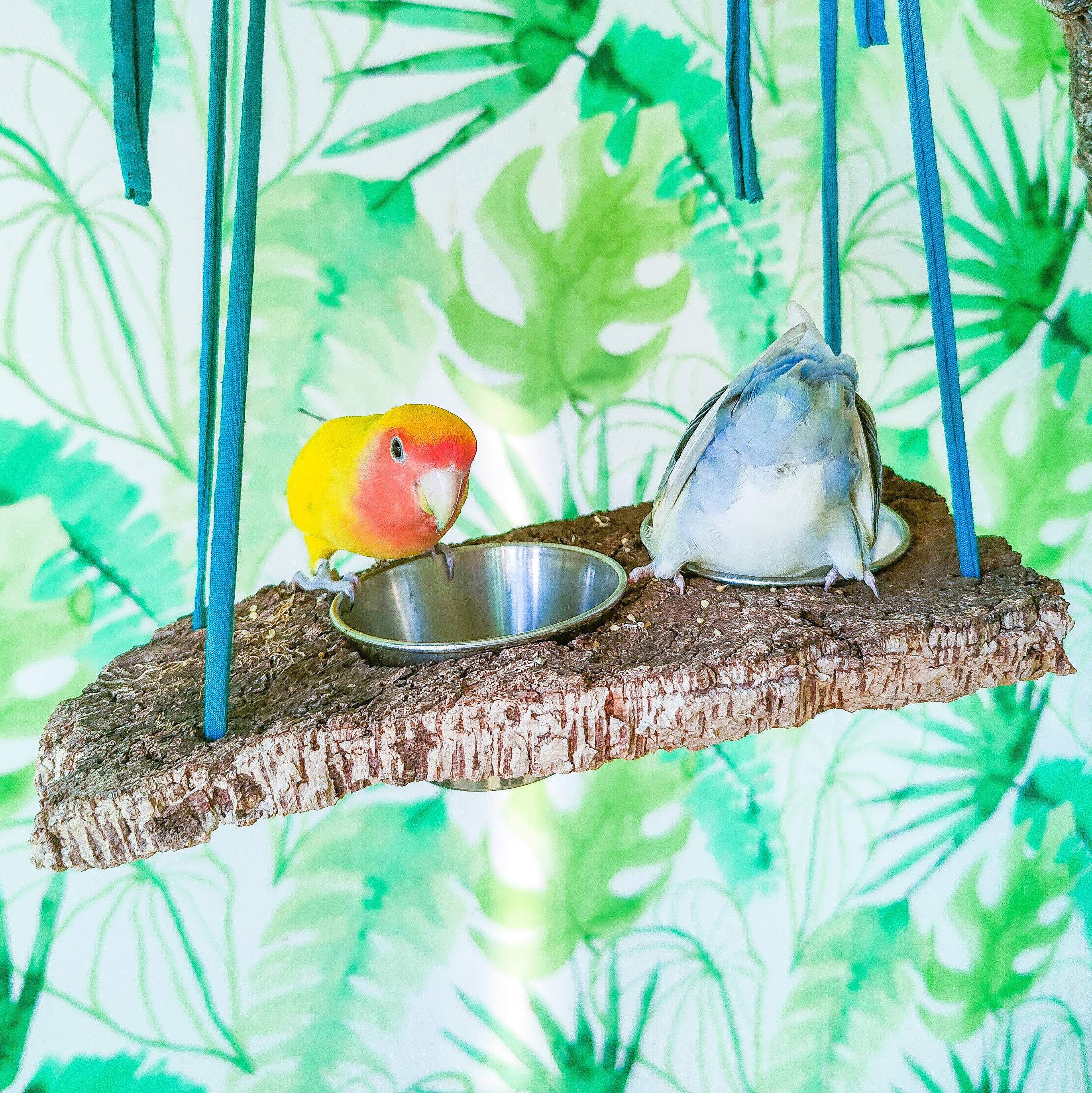 COMEDERO PLANCHA CORCHO