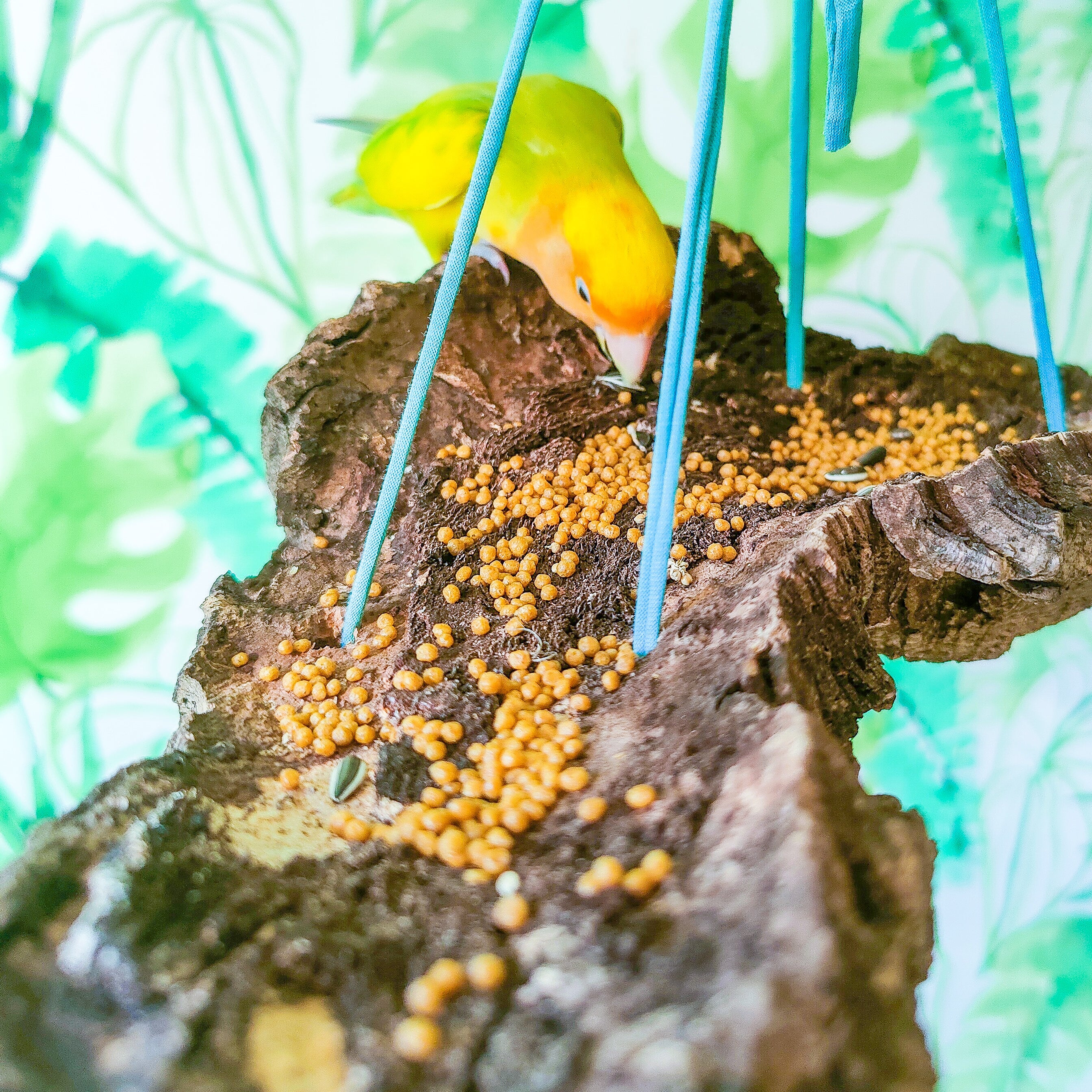 BANDEJA TUBO CORCHO COLGANTE