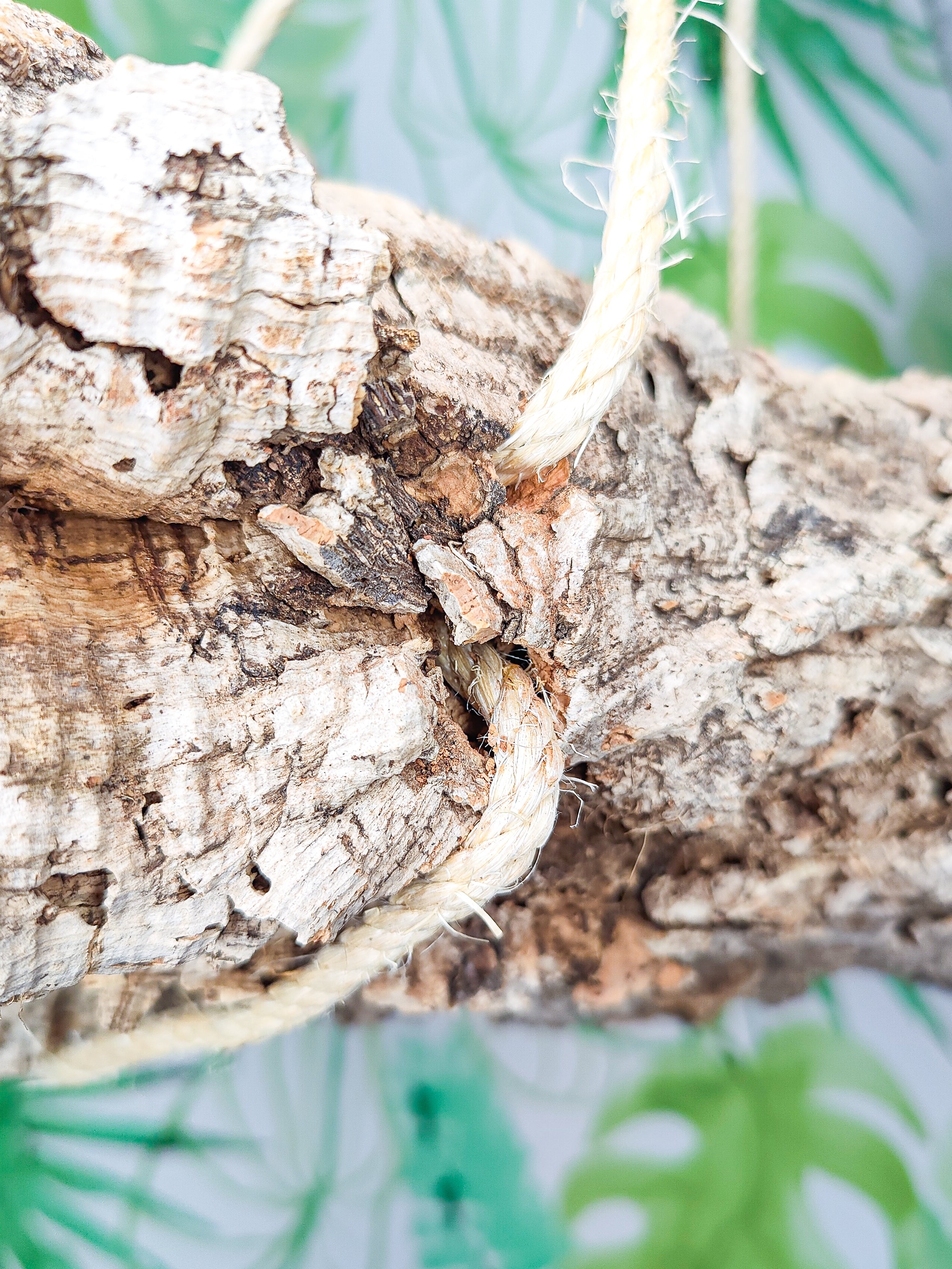 BANDEJA TUBO CORCHO XL