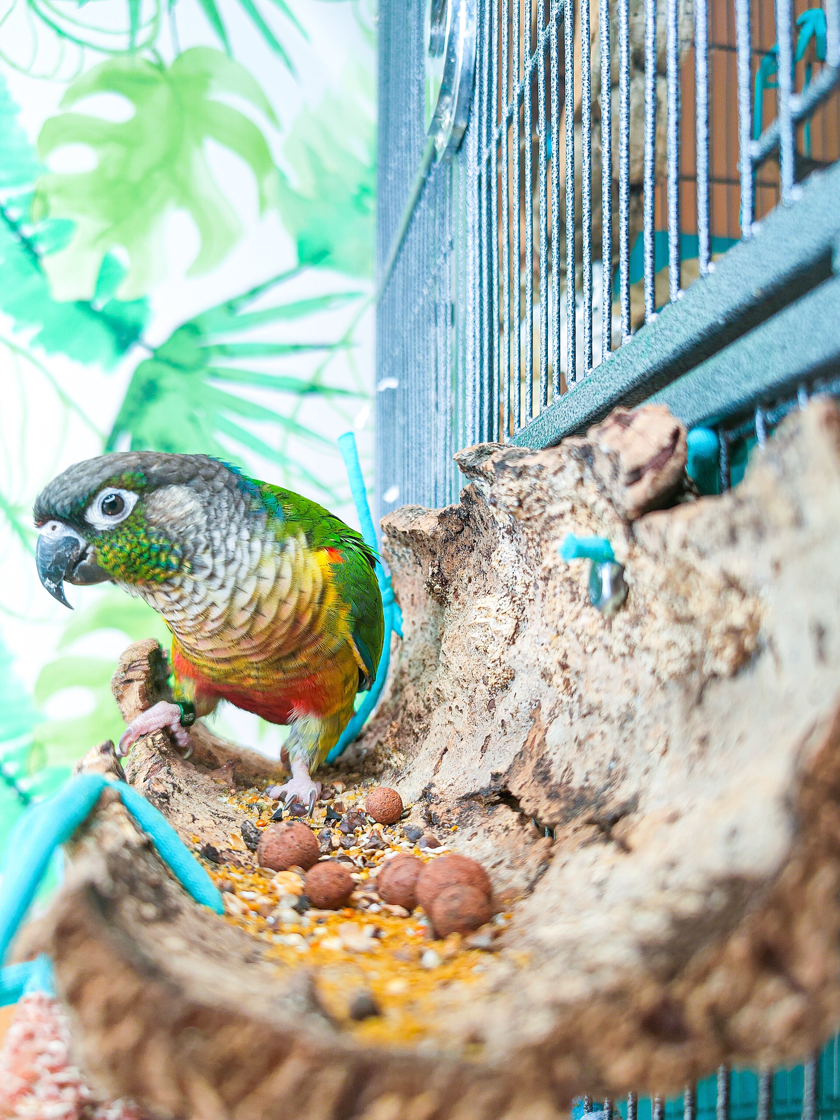 BANDEJA TUBO CORCHO FIJA