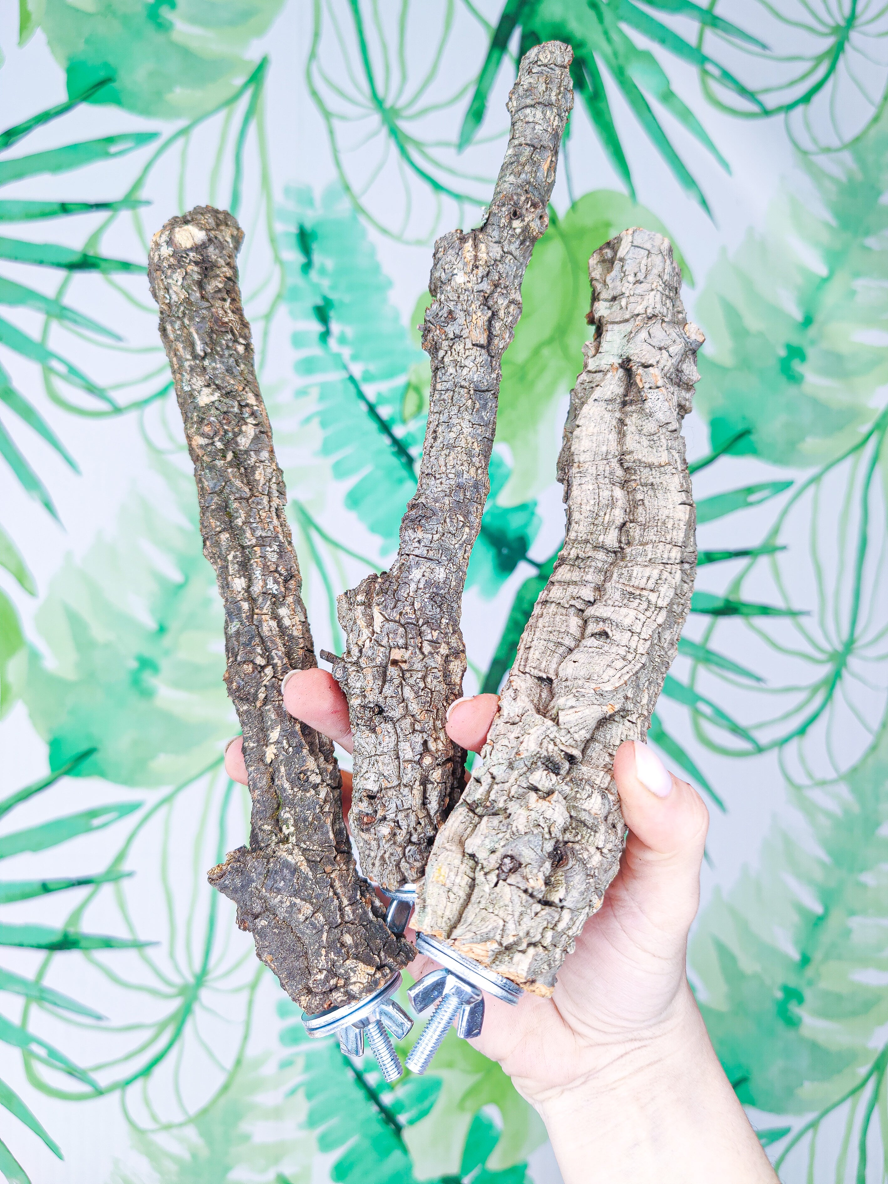 RAMITA BÁSICA RECTA/Y