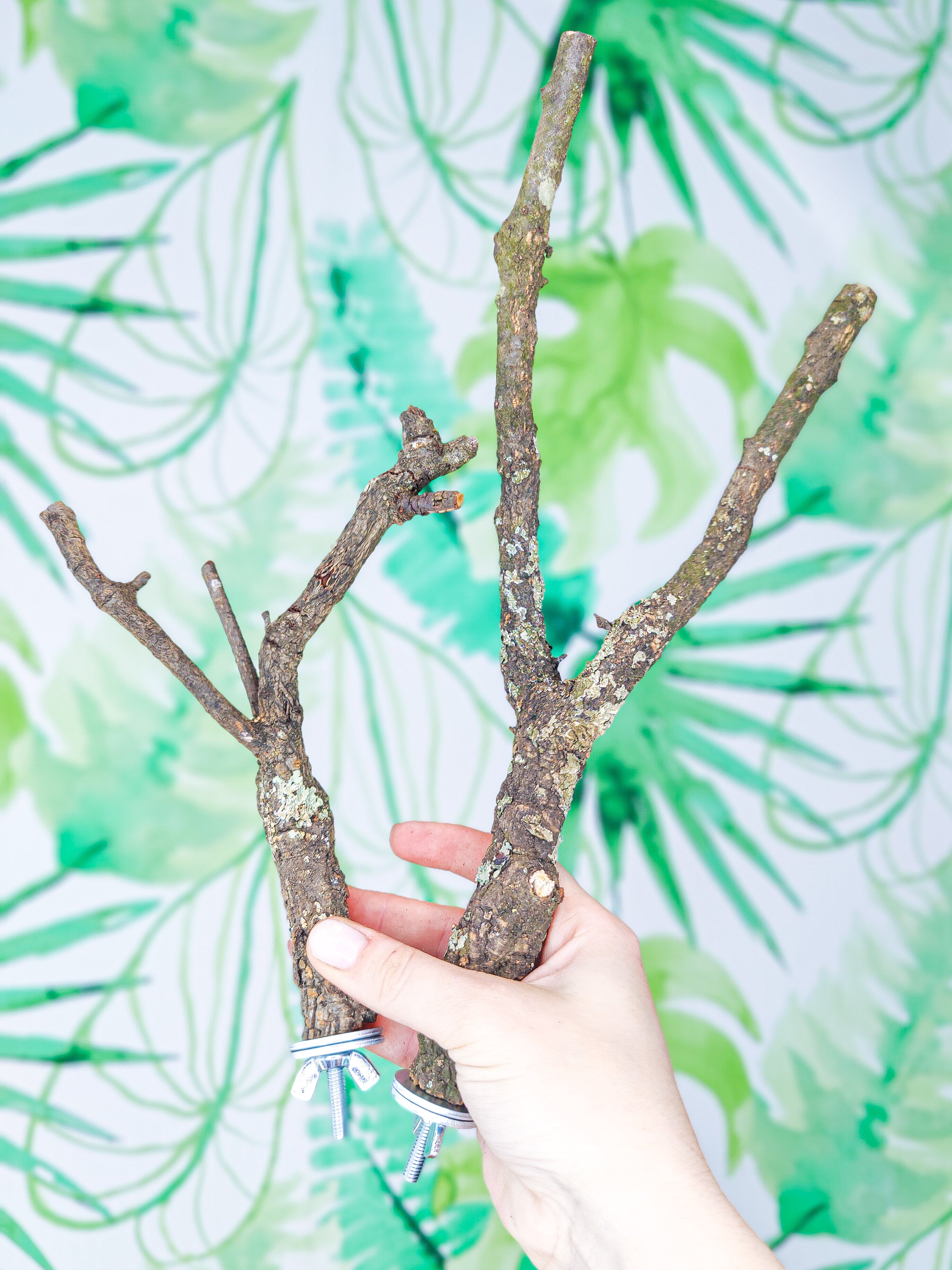 RAMITA BÁSICA RECTA/Y