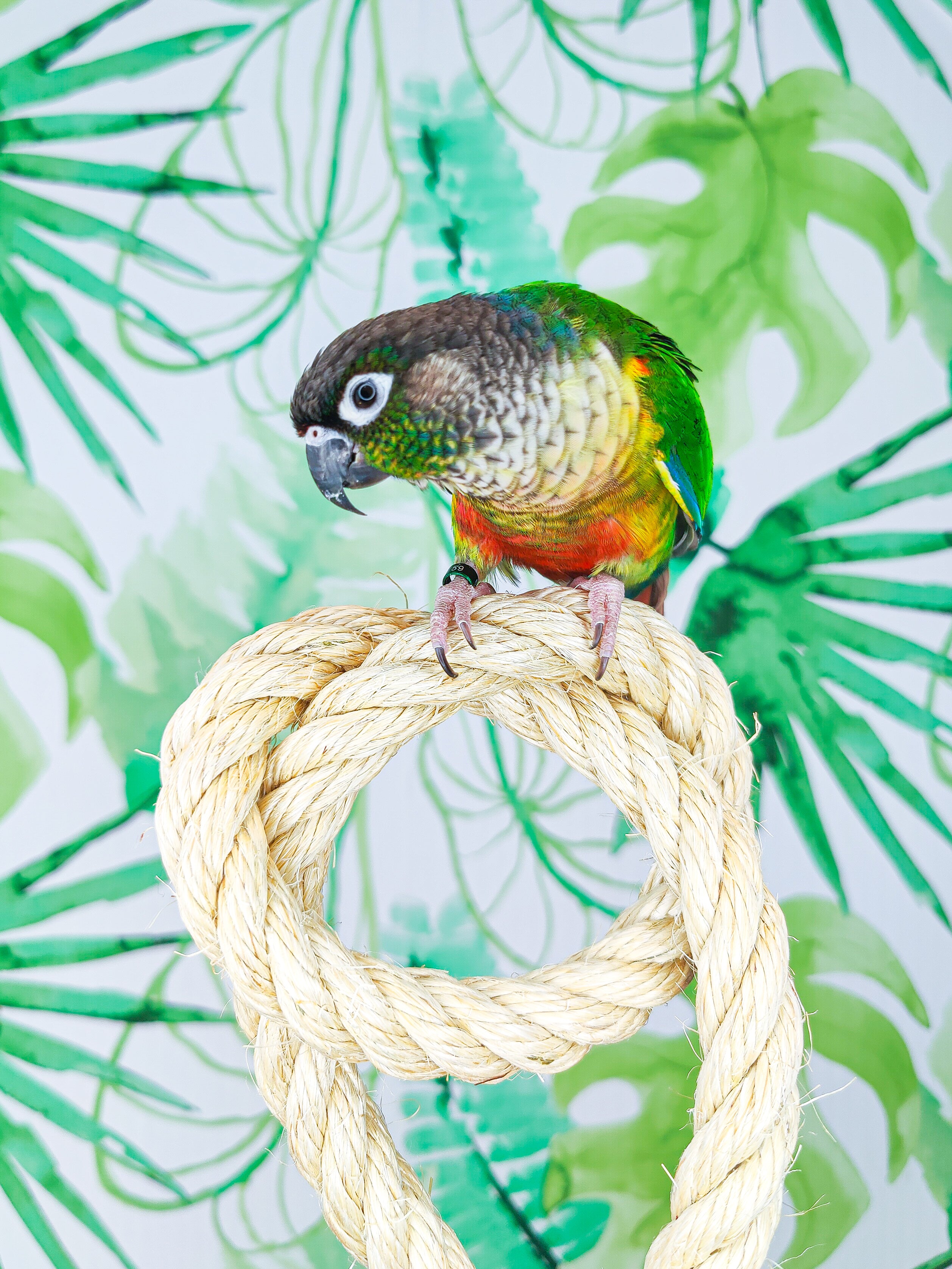 CUERDA SISAL (por metros, 4 grosores)