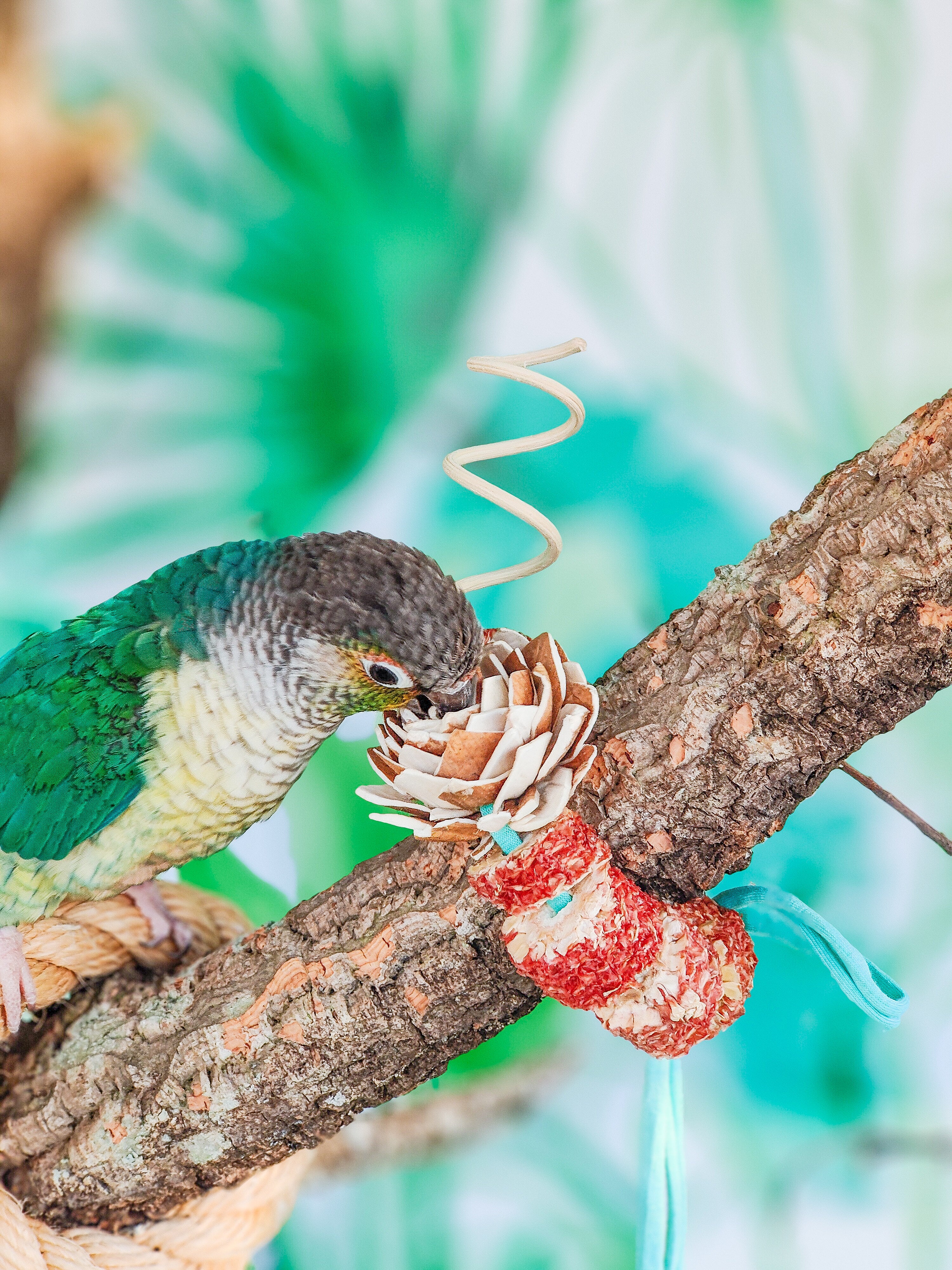 AMULETO #1 (individual)