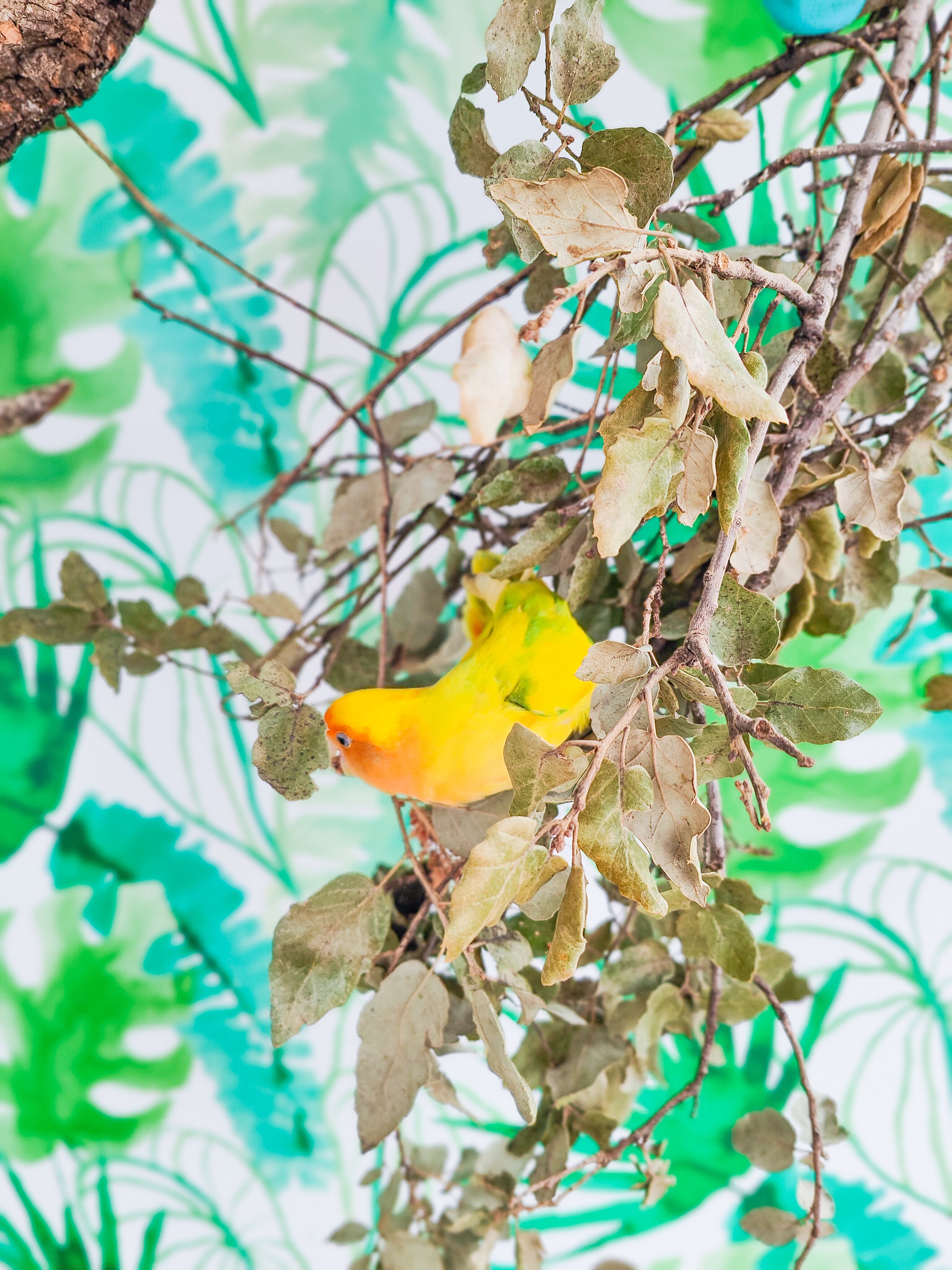 RAMILLETE HOJAS FRESCAS (alcornoque)