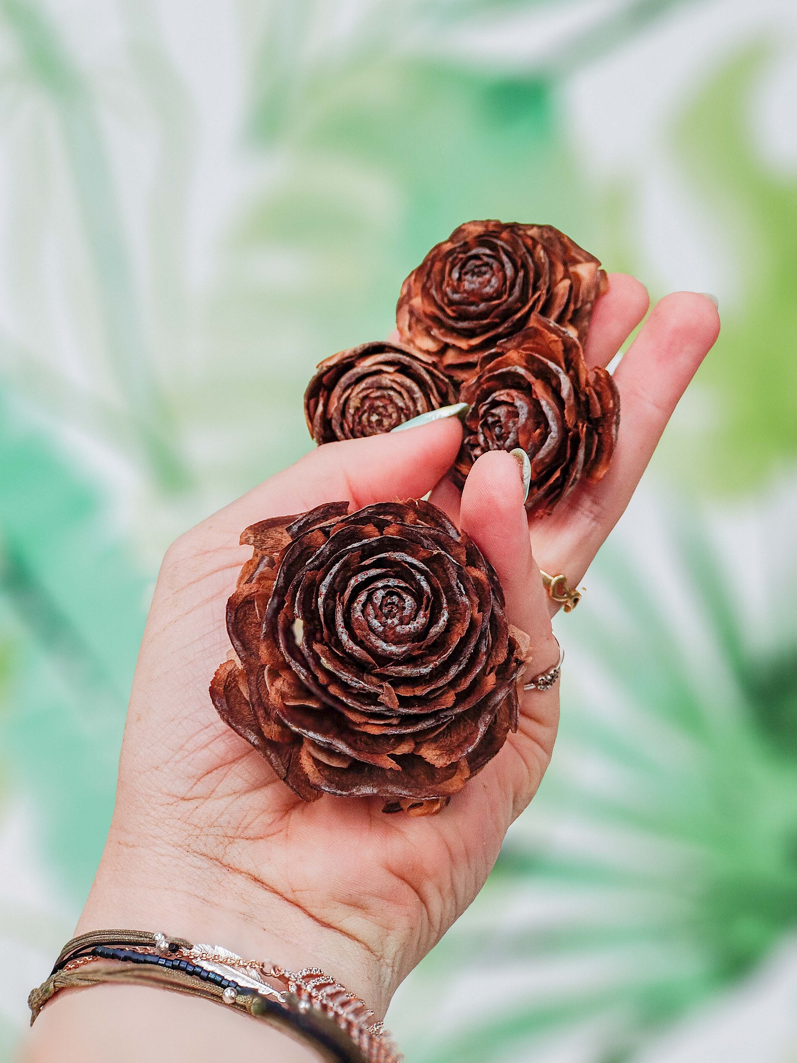 PIÑAS DE ROSA (unidades limitadas)