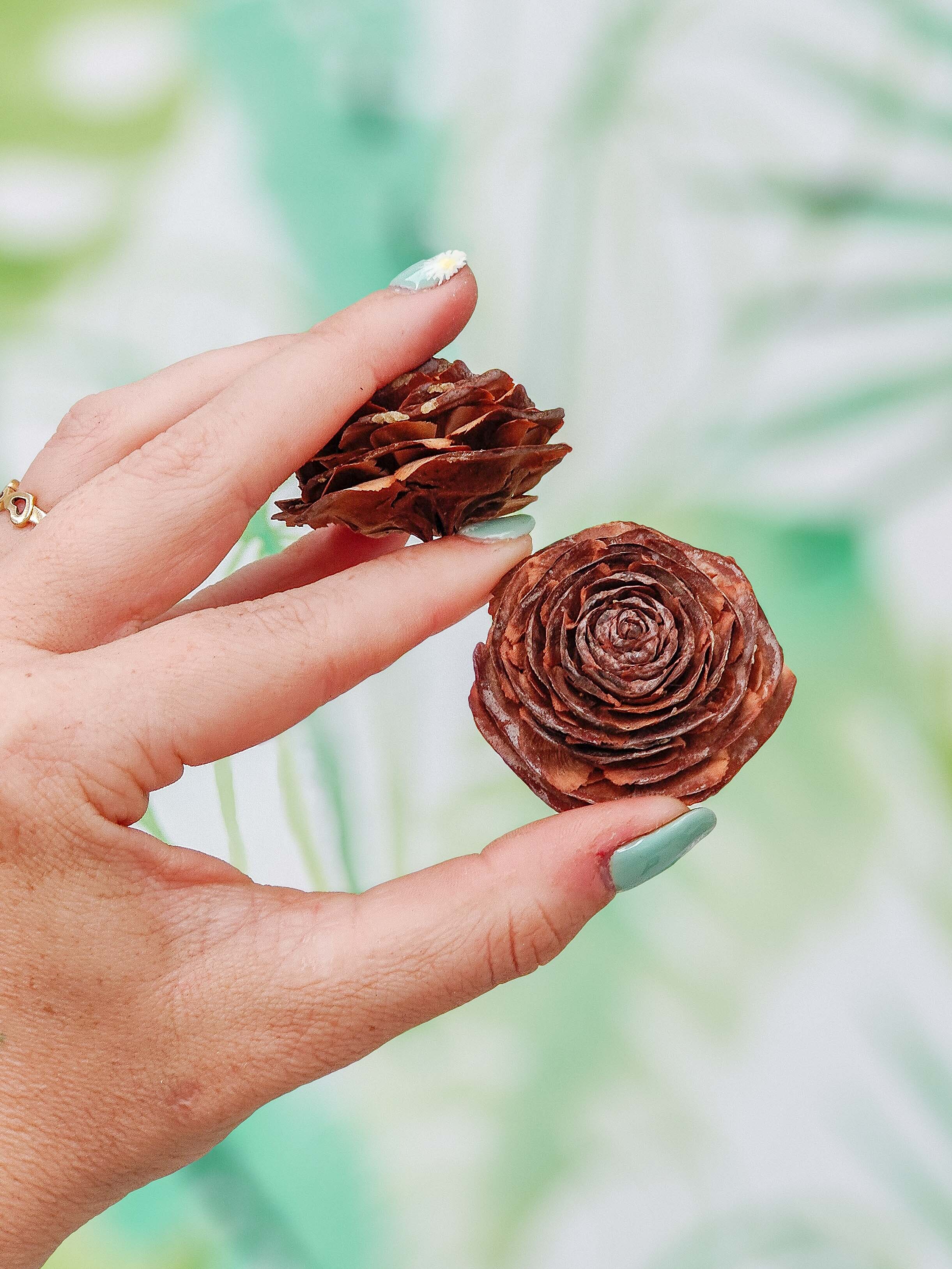 PIÑAS DE ROSA (unidades limitadas)