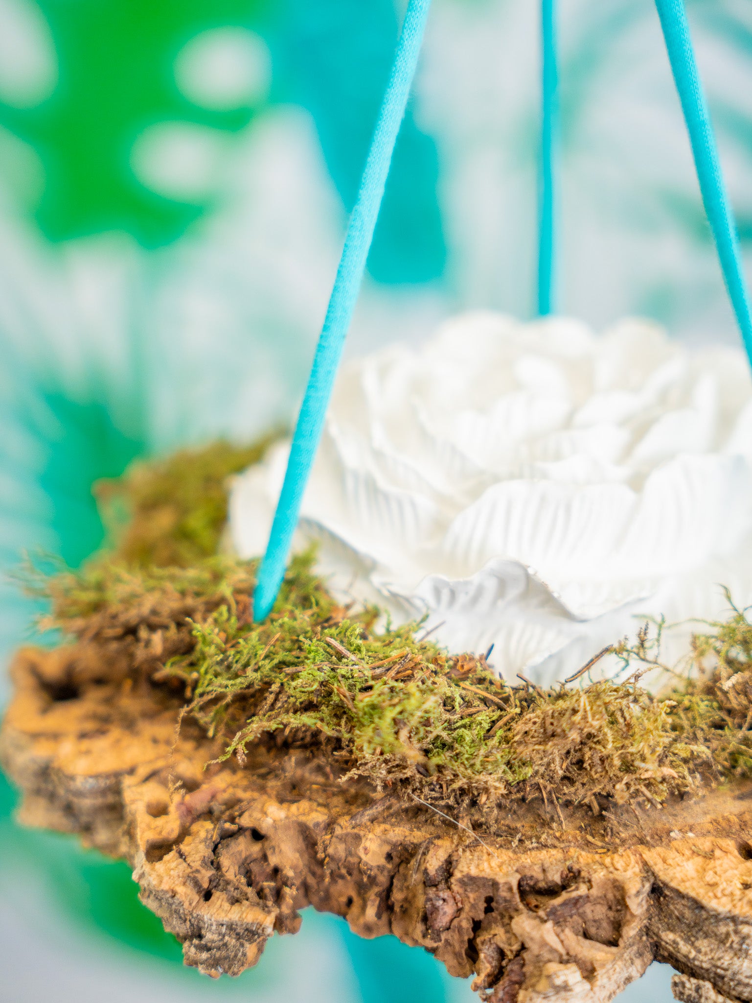 AURELIA Comedero | posadero colgante