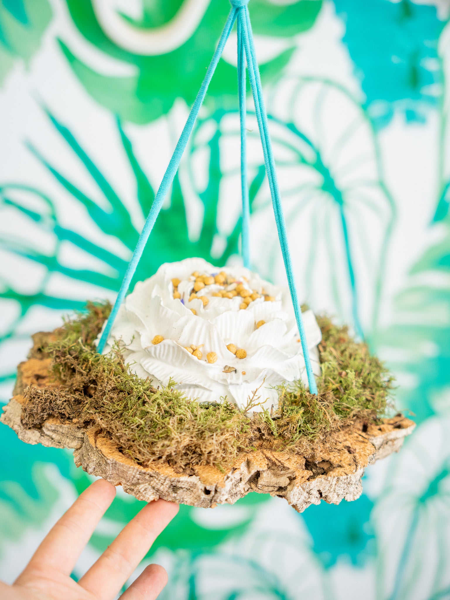 AURELIA Comedero | posadero colgante