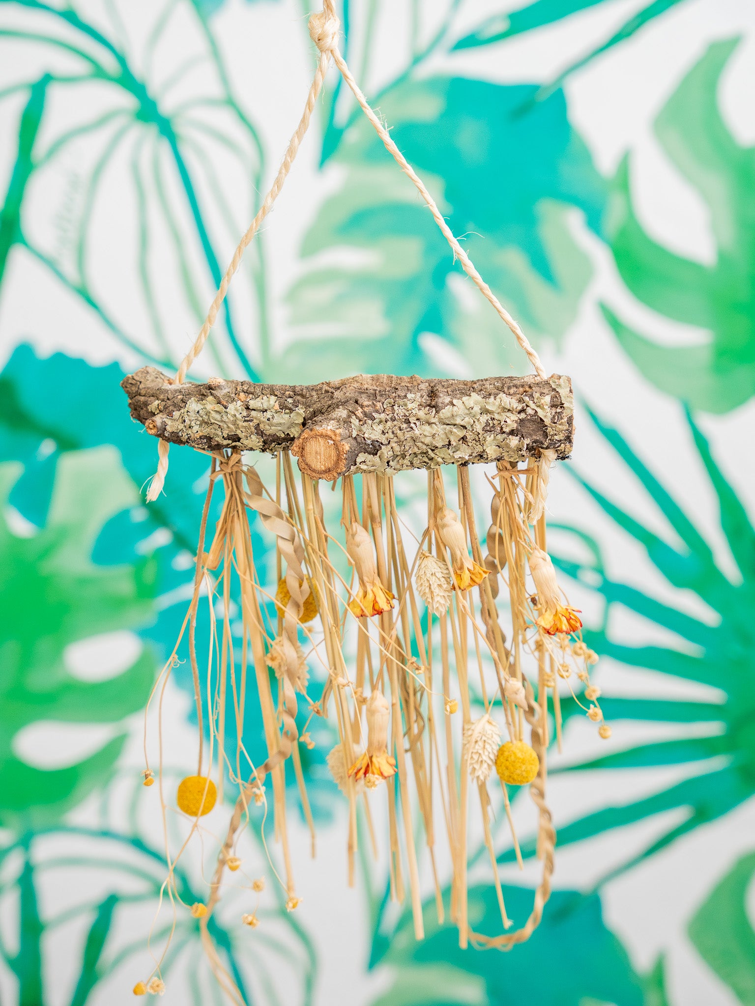 Cascada silvestre mini