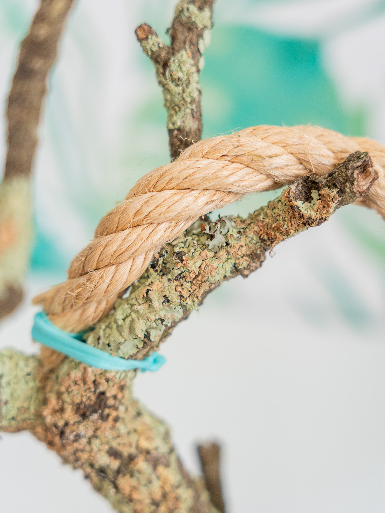 PERCHA SOBREMESA (PIEZA ÚNICA #17) 40x60