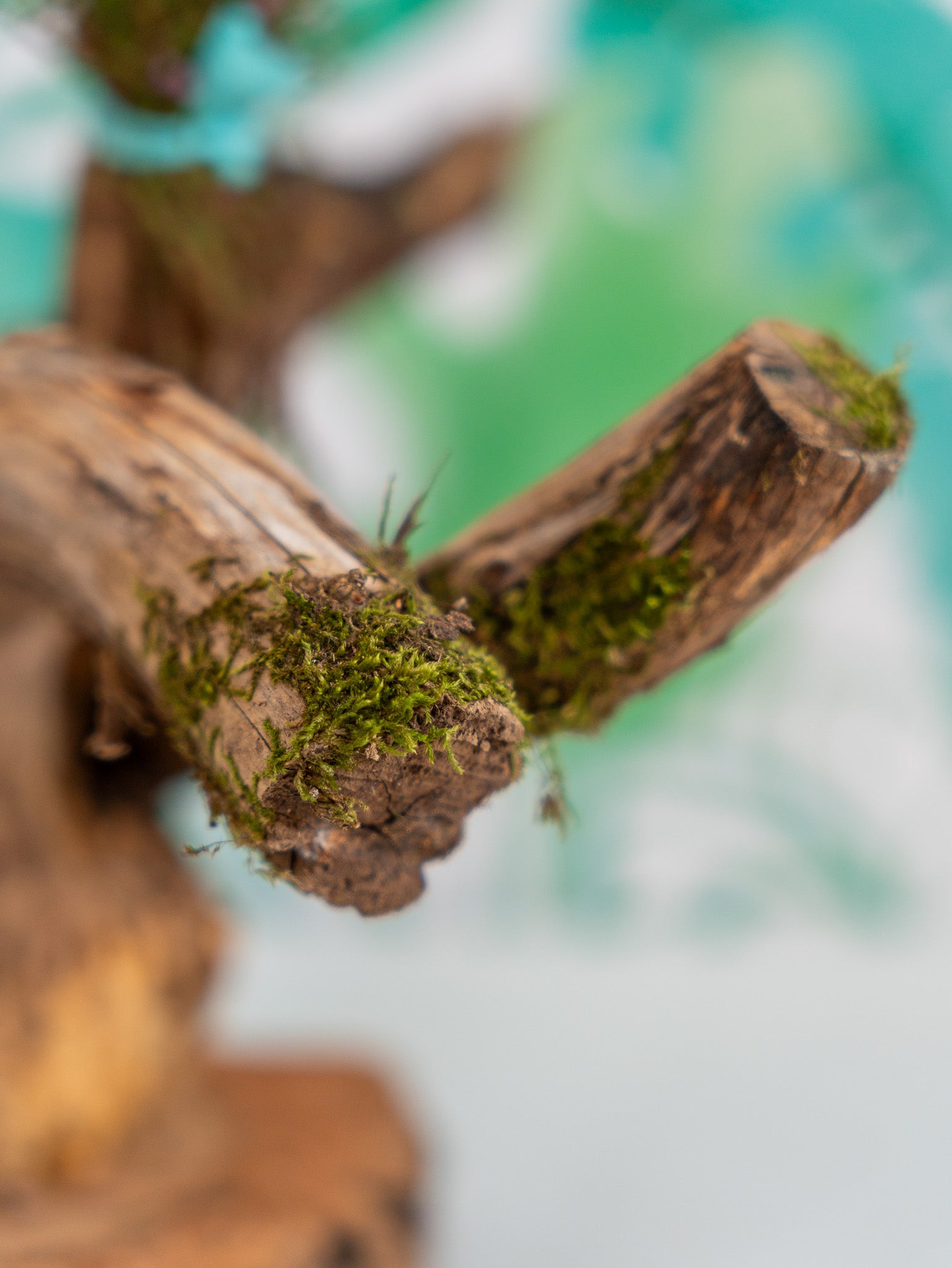 PERCHA SOBREMESA (PIEZA ÚNICA #18) 40x60