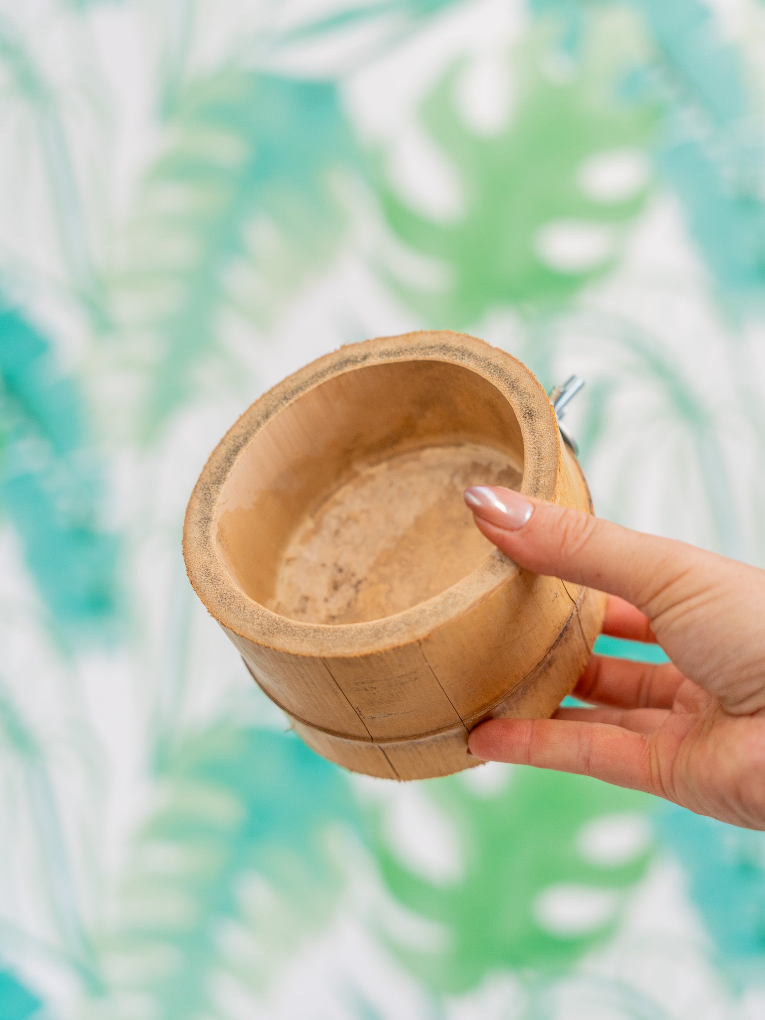 COMEDERO VASITO BAMBÚ XL(piezas limitadas)