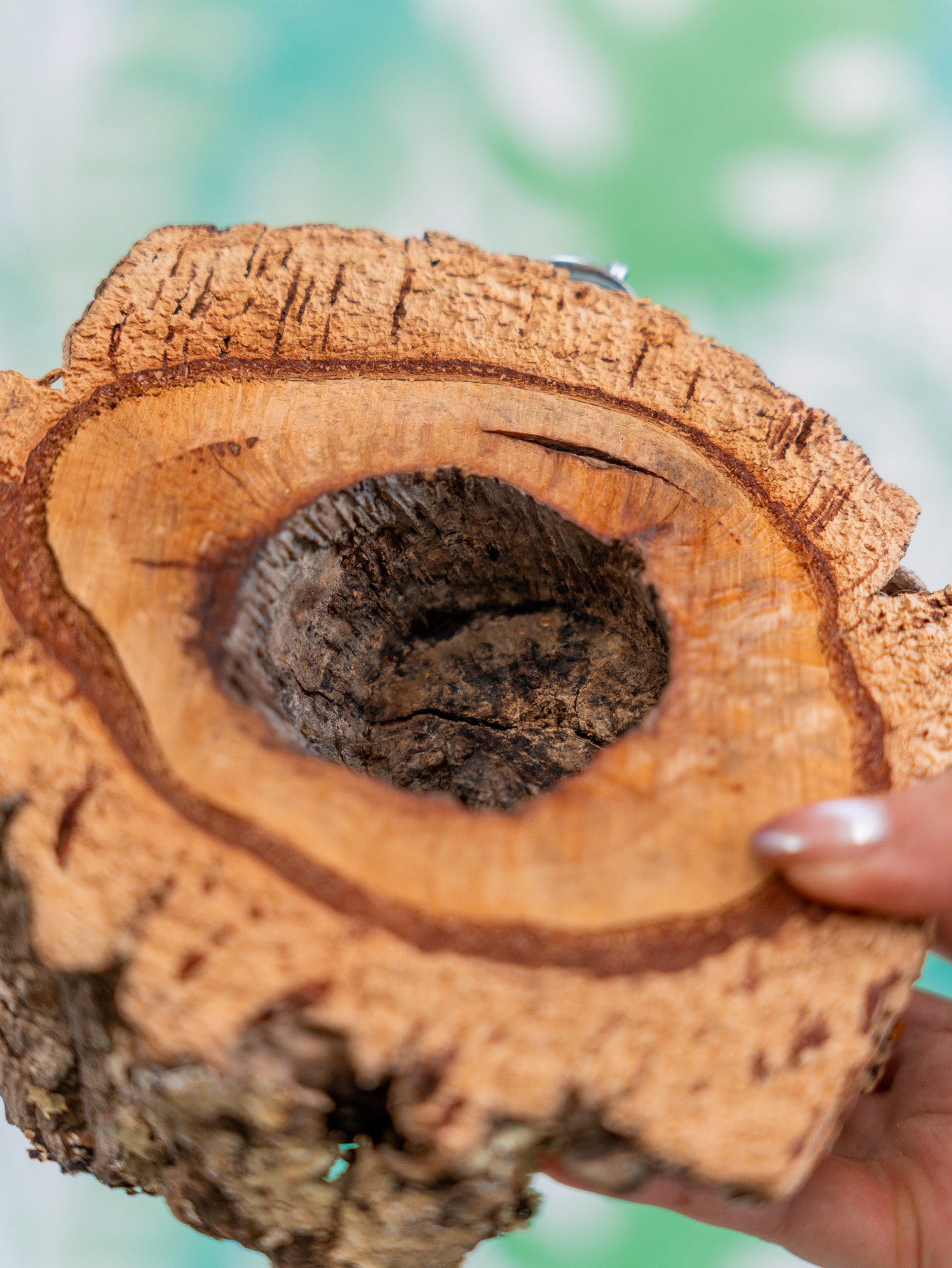 COMEDERO VERRUGA (pieza única #11)