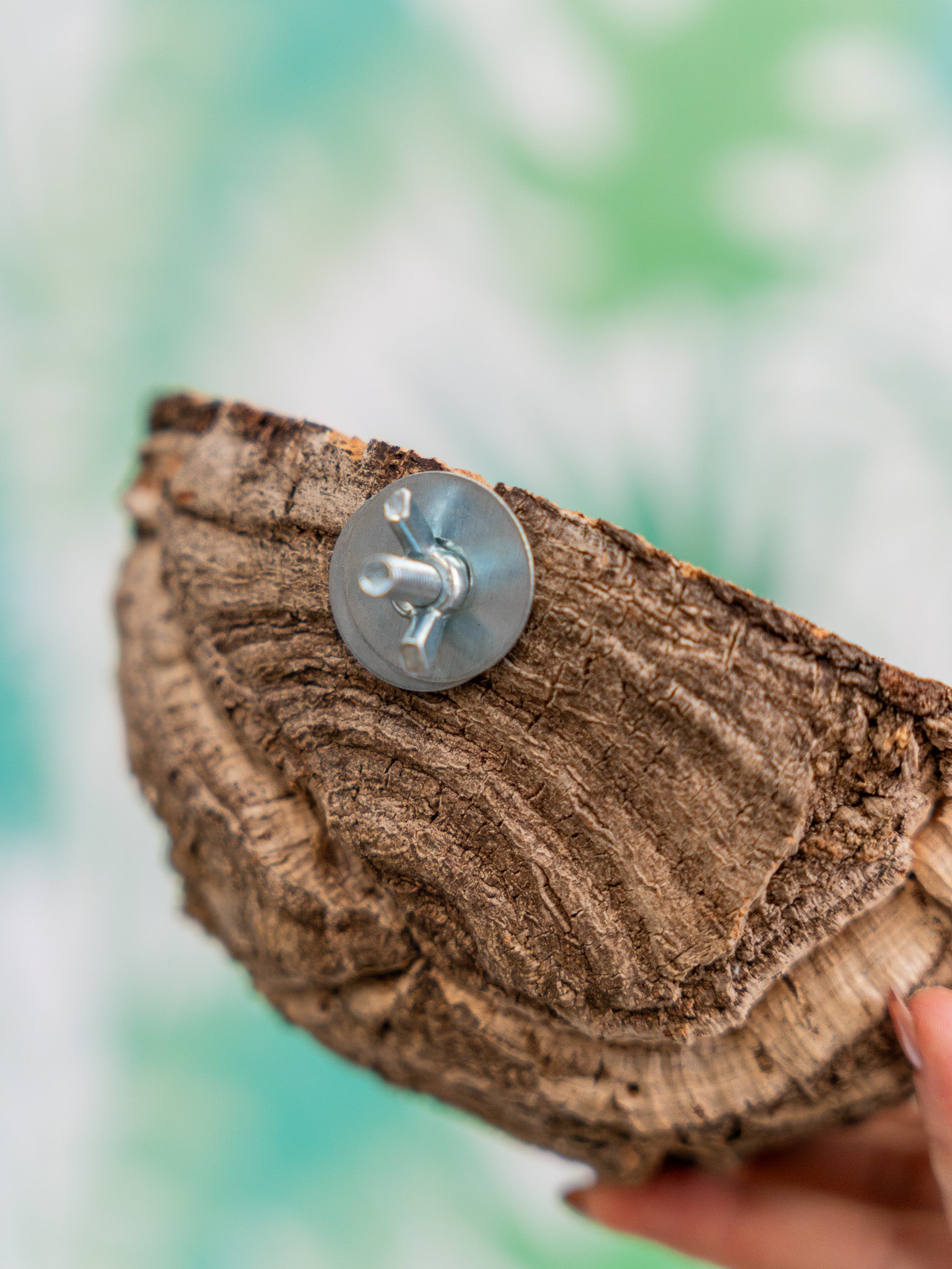 COMEDERO VERRUGA (pieza única #11)